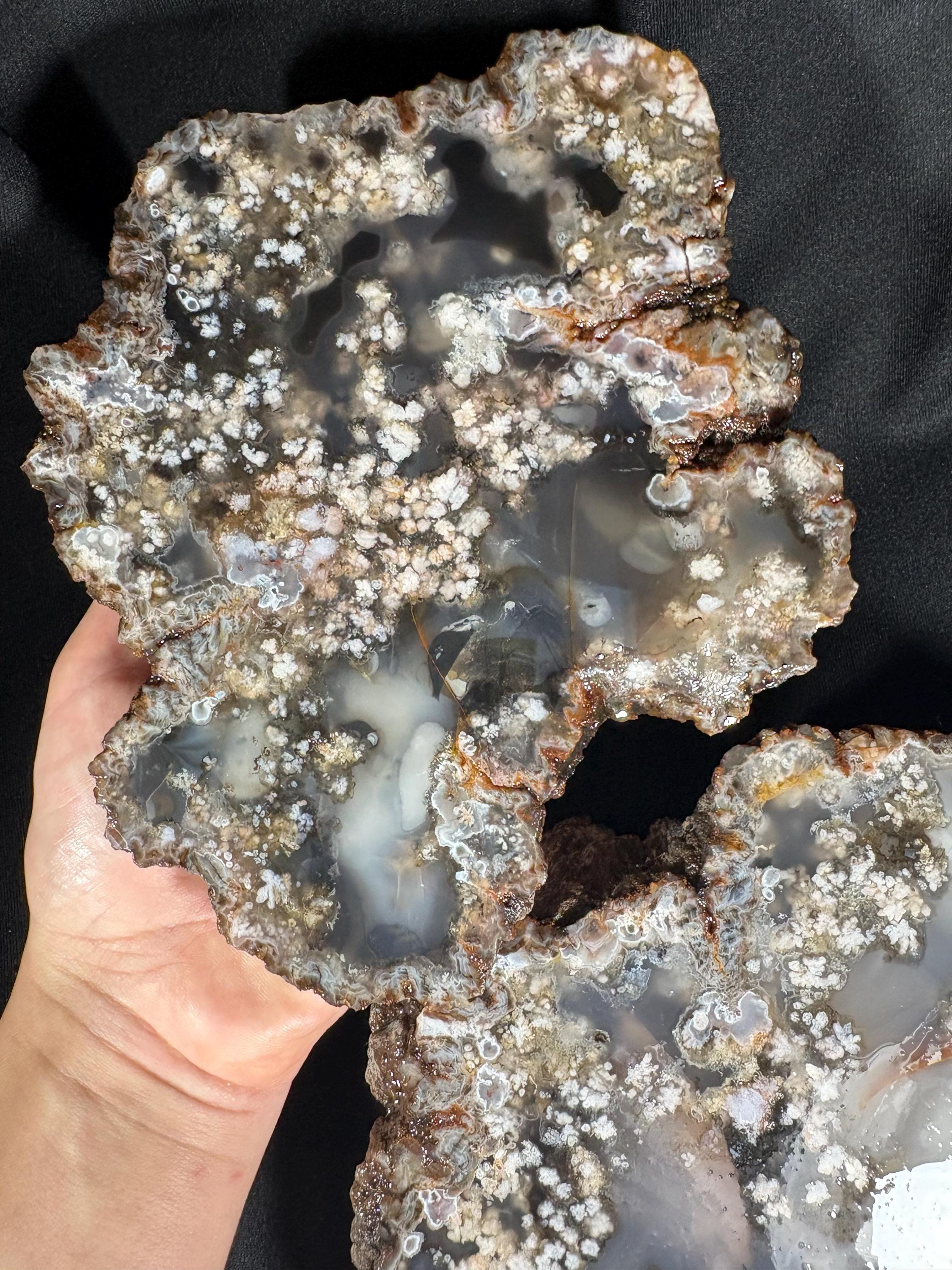 Black Flower Agate Geode Pair - Snowflake Plume