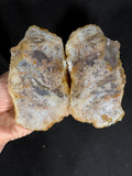Rare Dendritic Agate Geode Pair - Earthy Fern Pattern