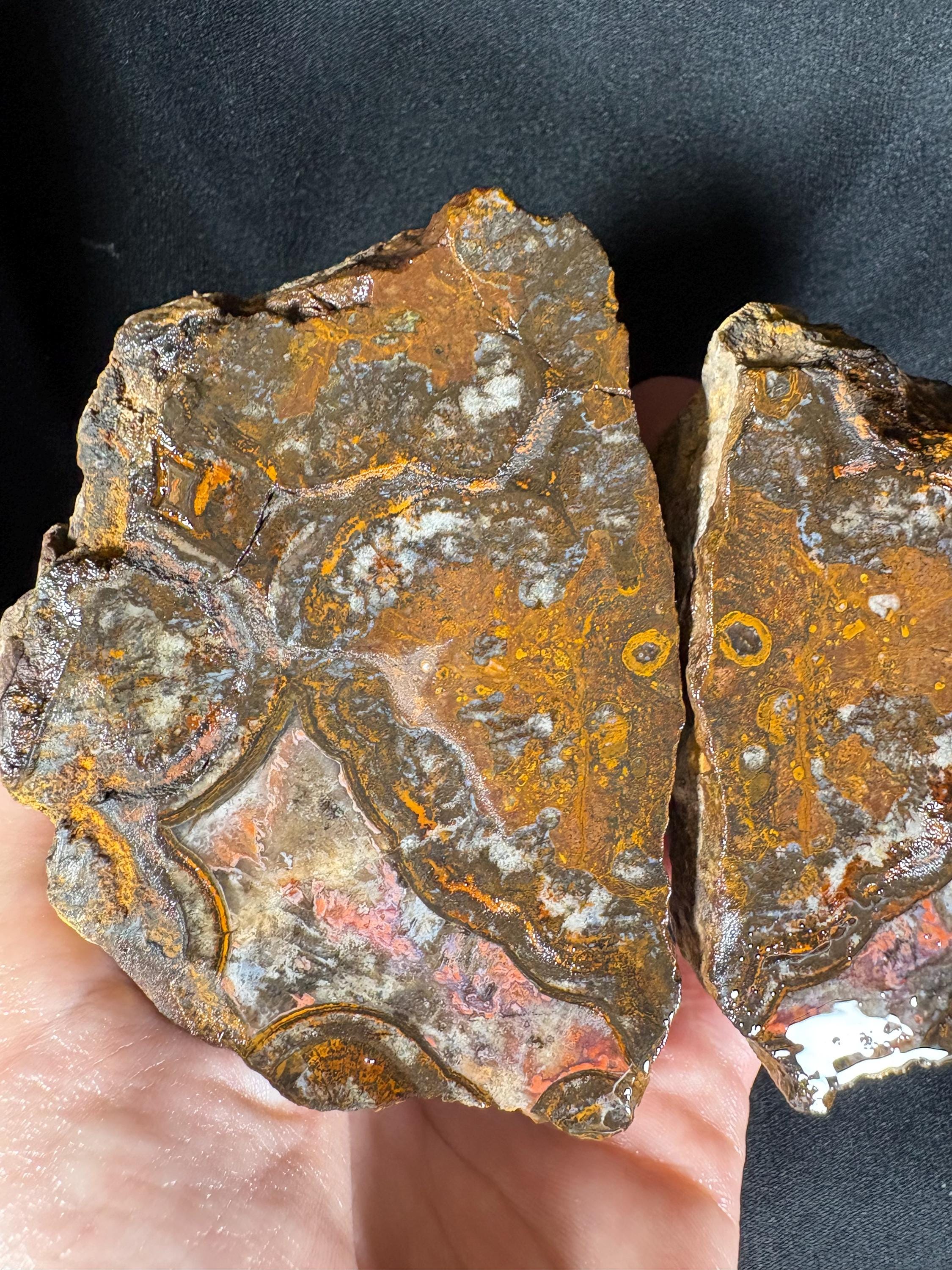 Unpolished Karadeniz Forest Agate