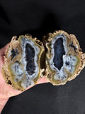 Rare Dendritic Agate Geode Pair