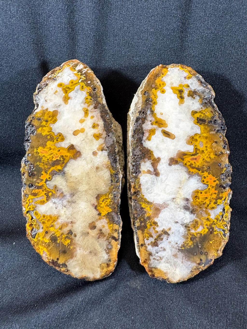 Natural Plume Agate Split Nodule Pair