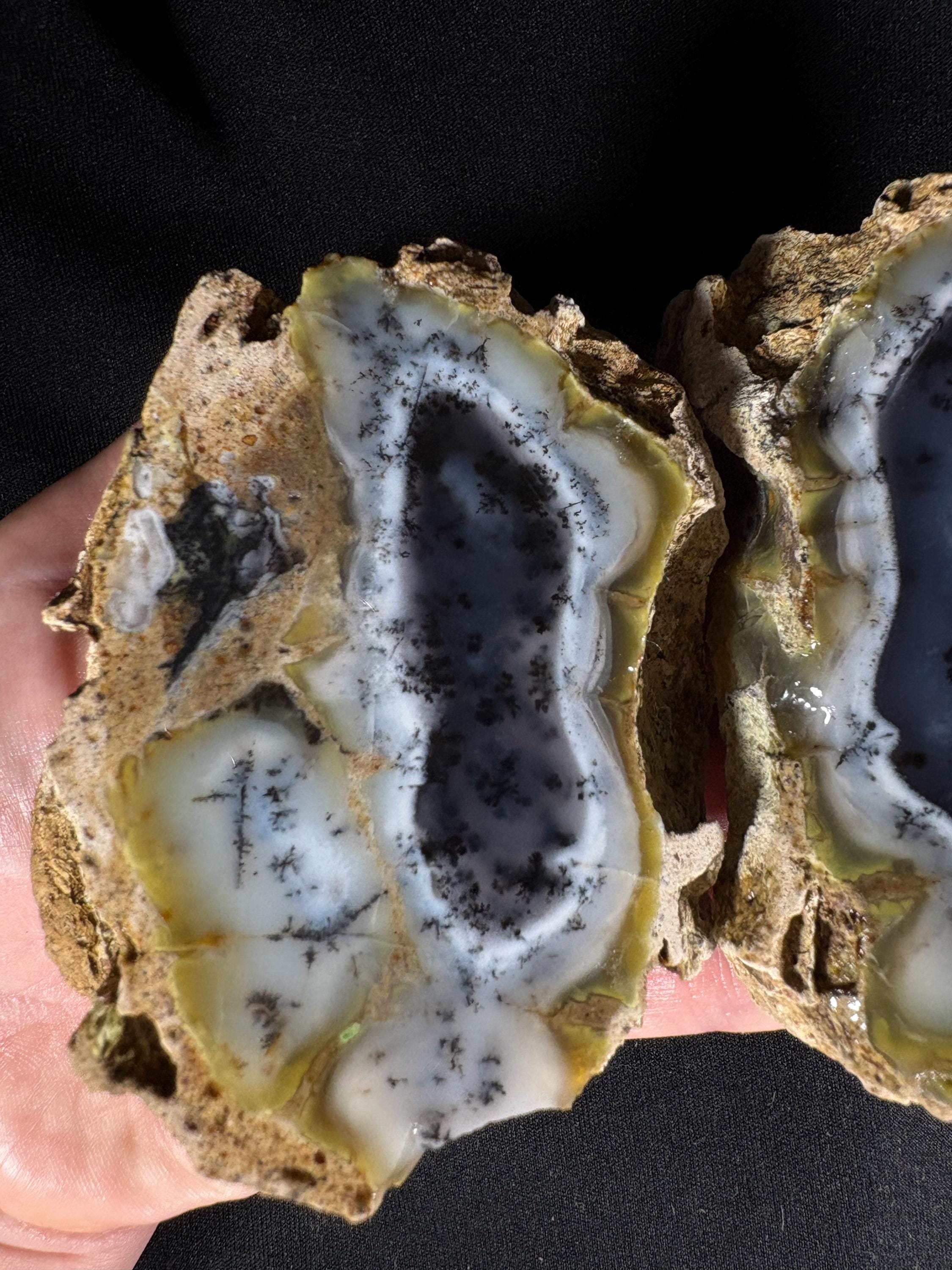 Rare Dendritic Agate Geode Pair