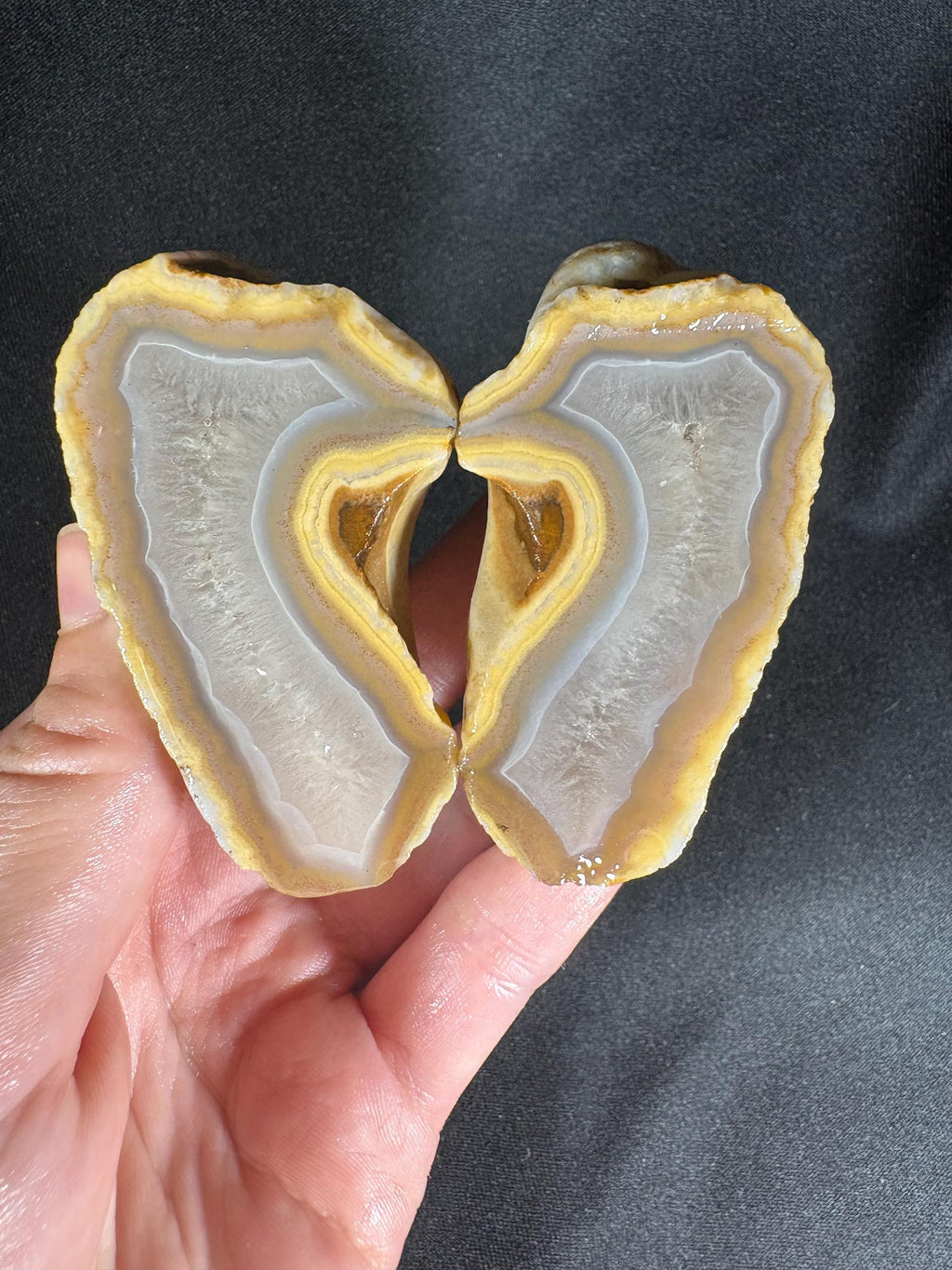 Banana Yellow Agate Geode Pair