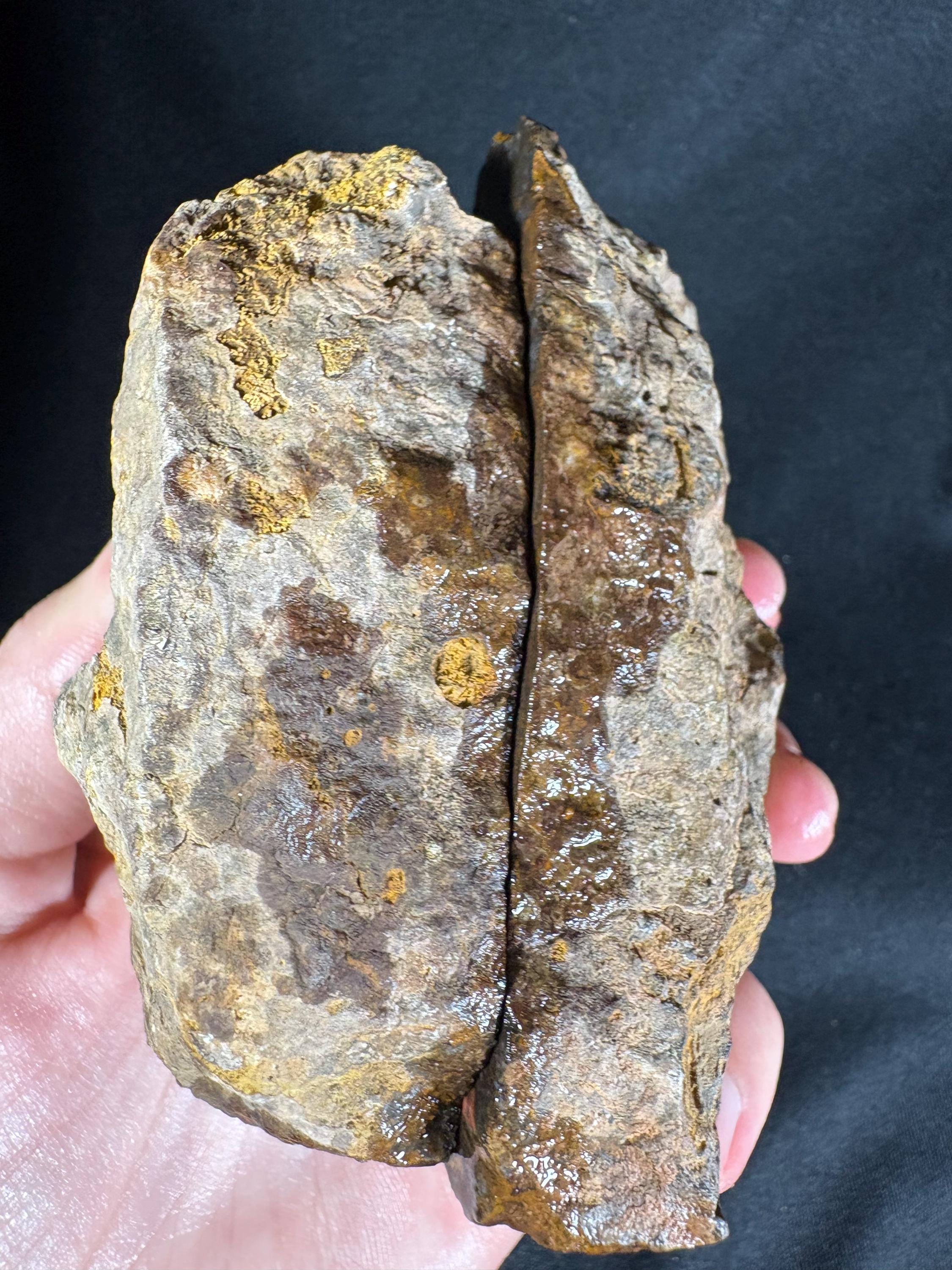 Unpolished Karadeniz Forest Agate
