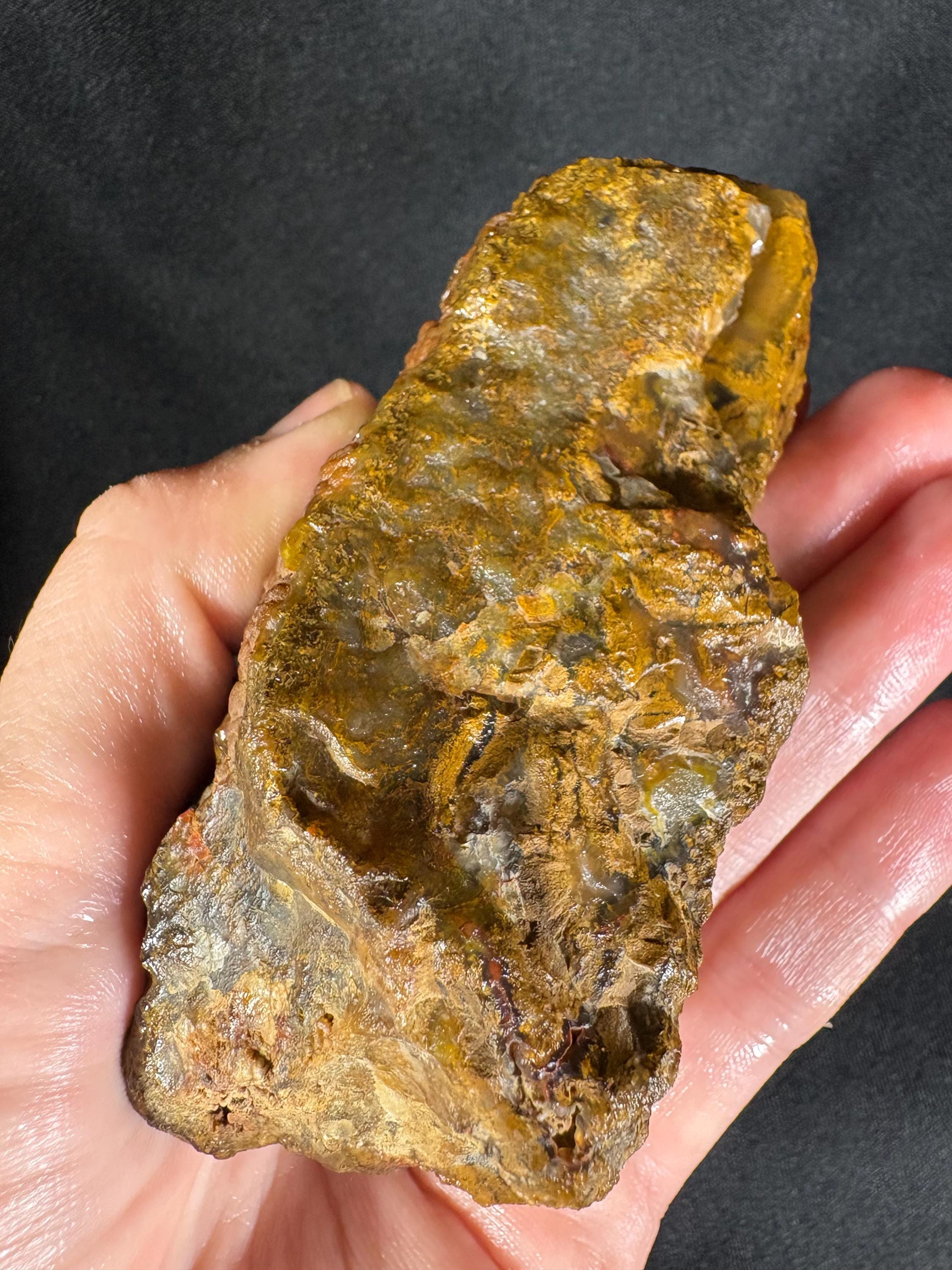Black Sea Honey Moss Agate Pair – Golden Amber Plume