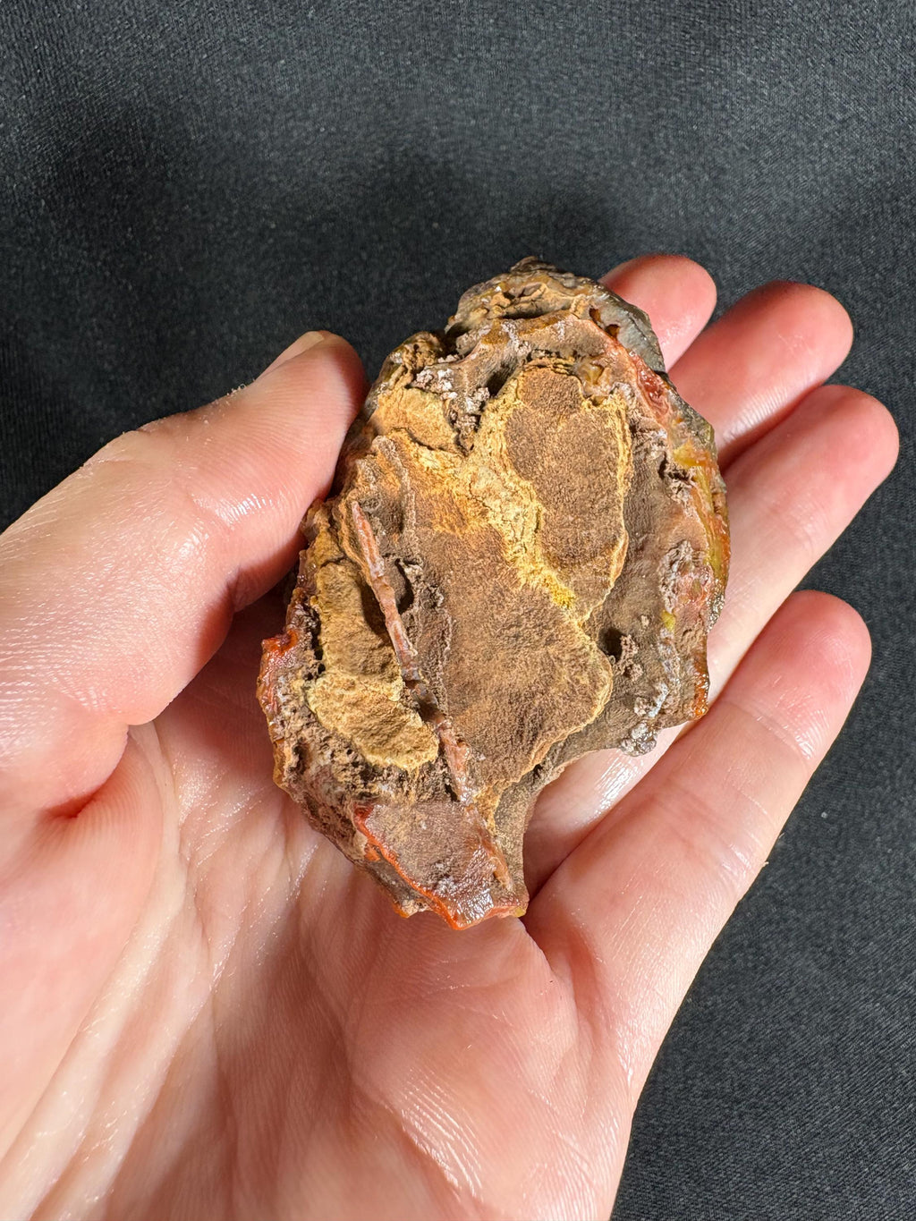 Rare Red Almus Agate Pair