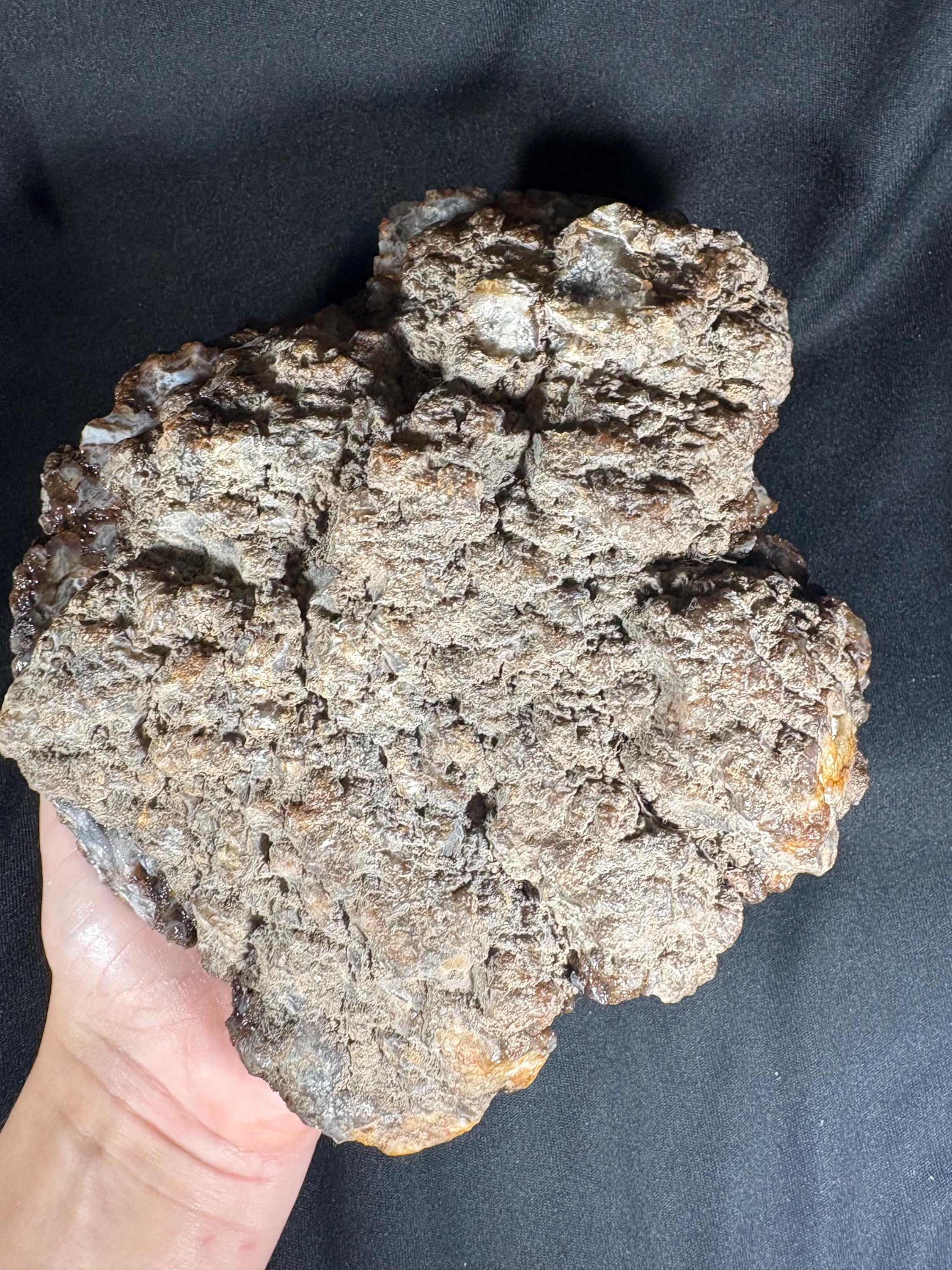 Black Flower Agate Geode Pair - Snowflake Plume