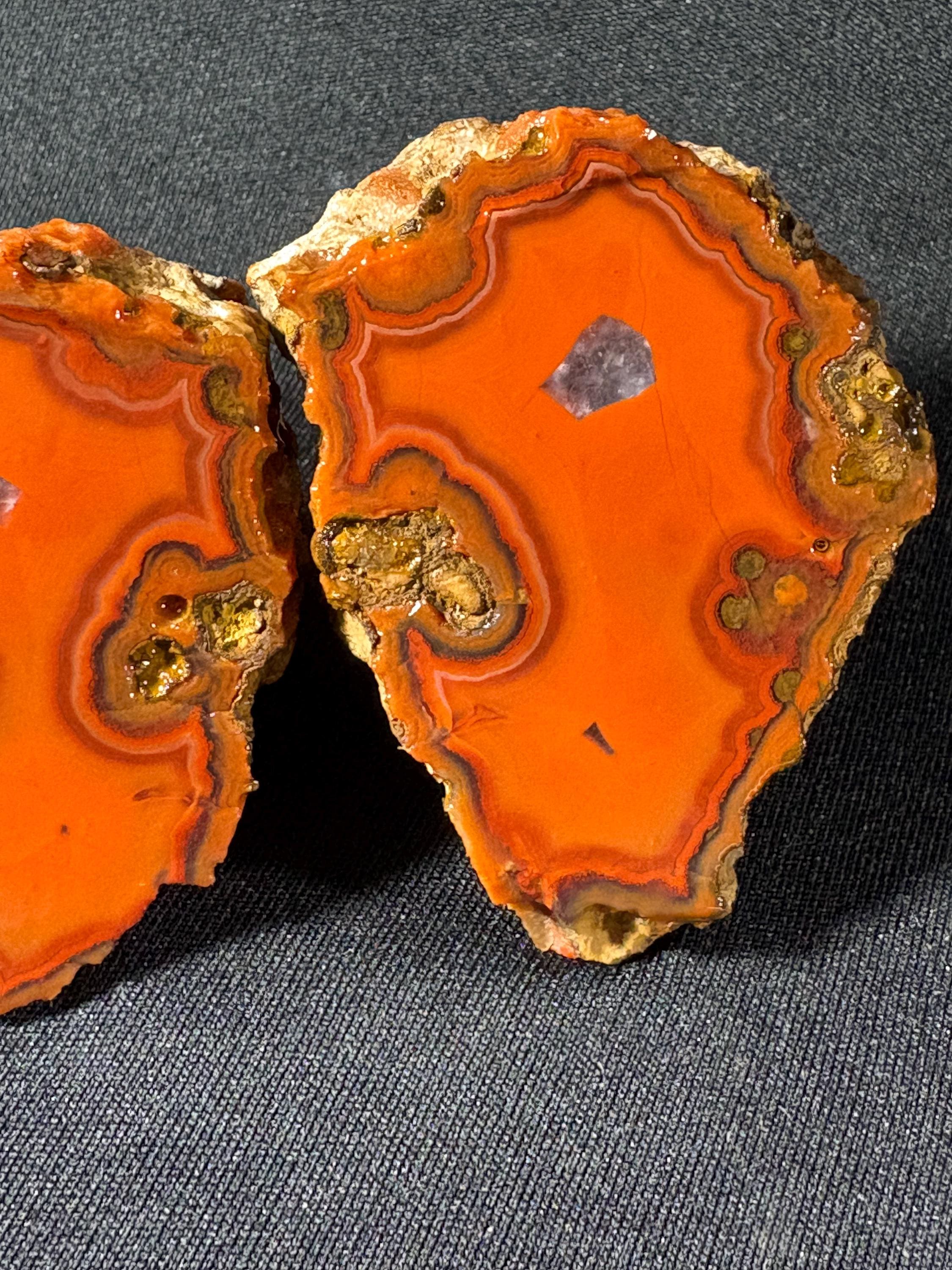 Electric Orange Orbicular Agate Pai
