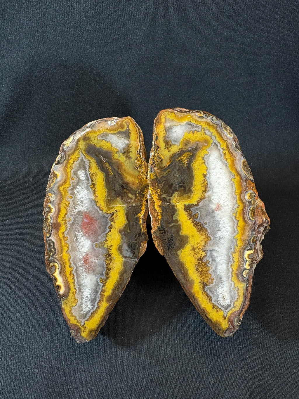 Natural Yellow Banded Agate Split Nodule Pair