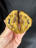 Golden "Baroque" Cloud Agate Pair