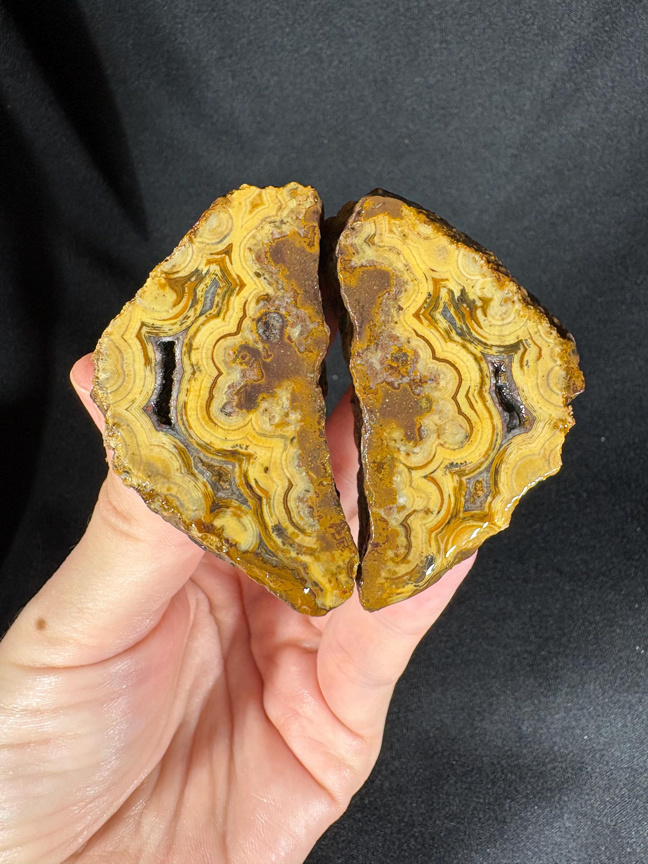 Golden "Baroque" Cloud Agate Pair
