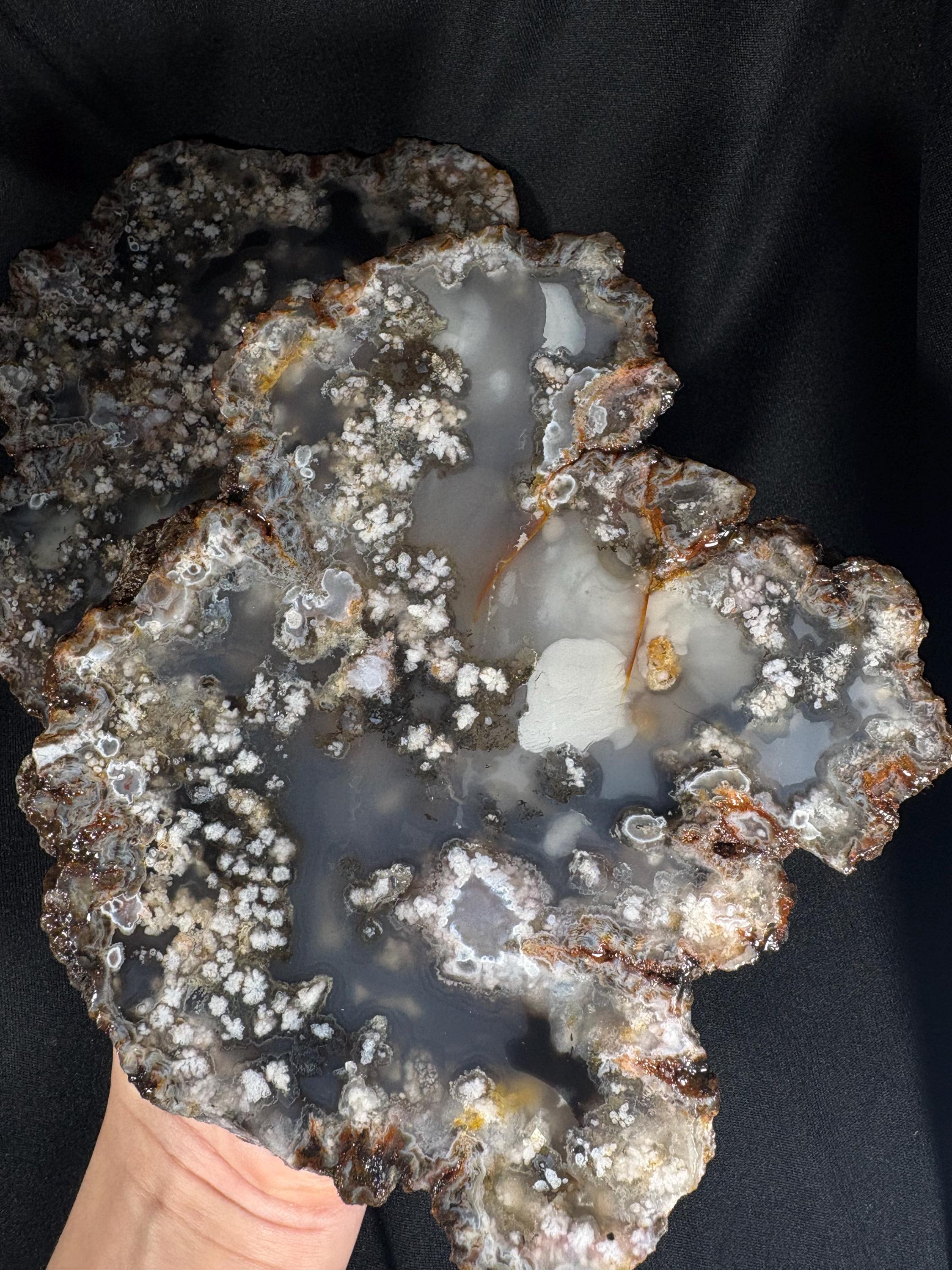 Black Flower Agate Geode Pair - Snowflake Plume