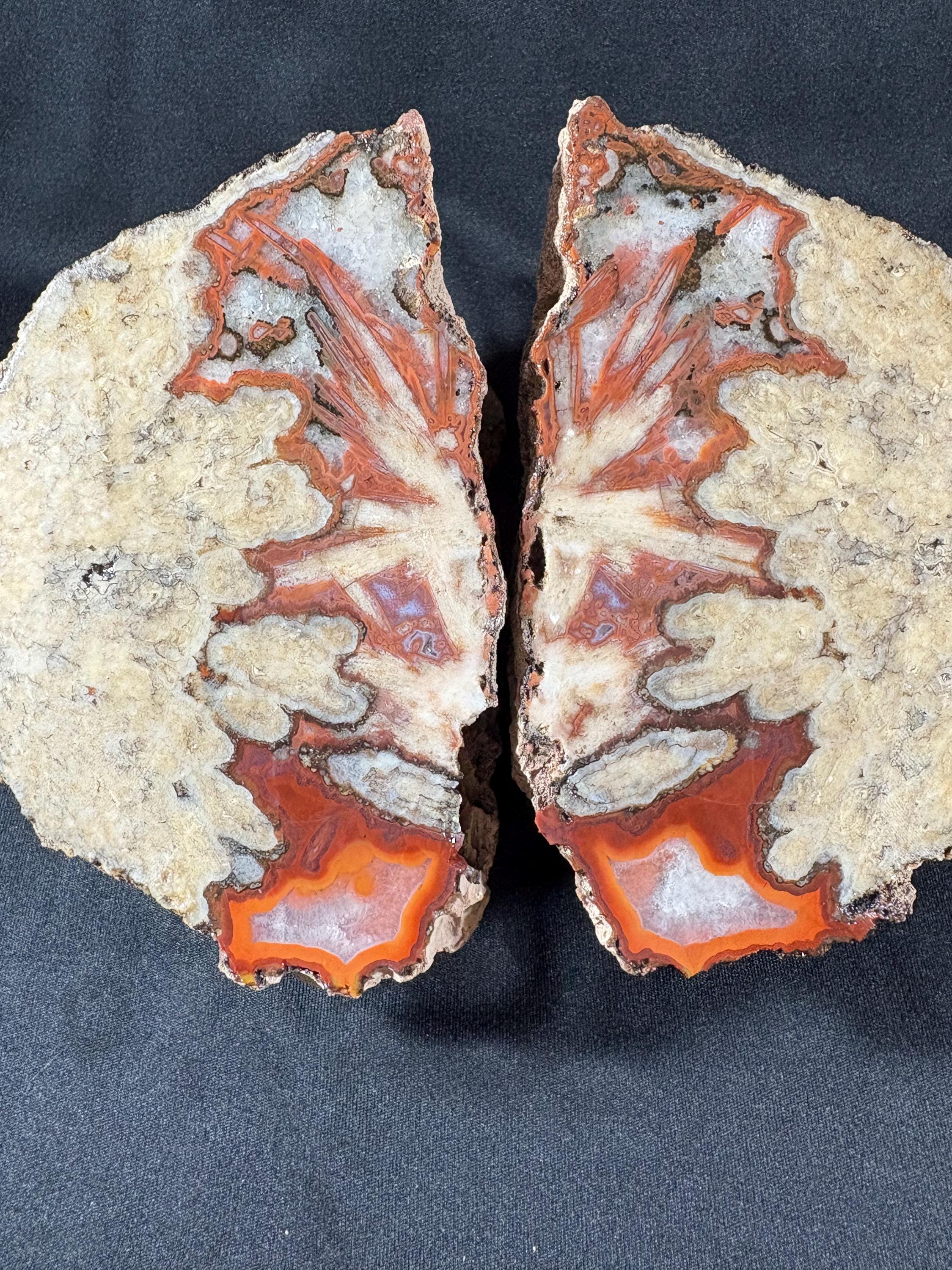 Natural Plume Agate Split Nodule Pair – Raw Untreated Agate