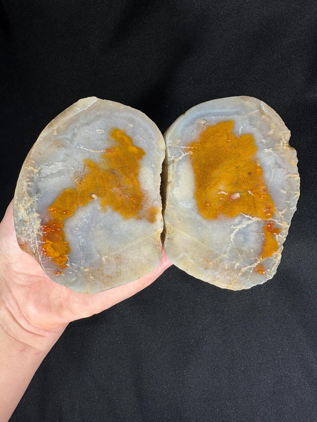 Fried Egg Agate Geode Pair - Sunny Side Up Yellow Plume Center - Raw Fun Collector Specimen