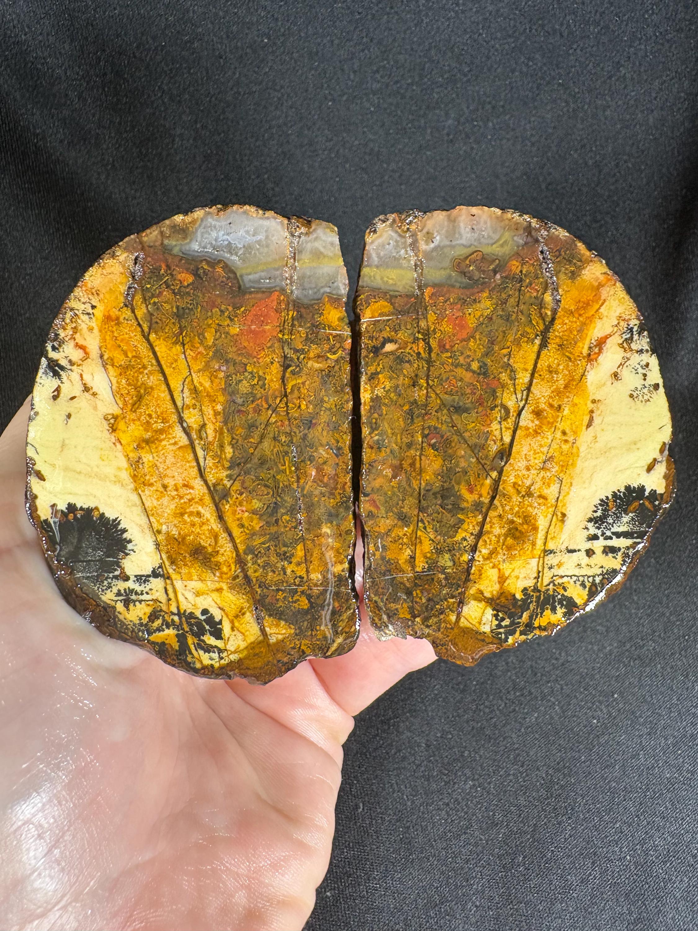 Golden Plume Agate Pair – Scenic "Autumn Forest" Dendritic Geode