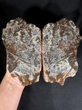 Stick Agate Geode Pair - Raw Needle Lattice
