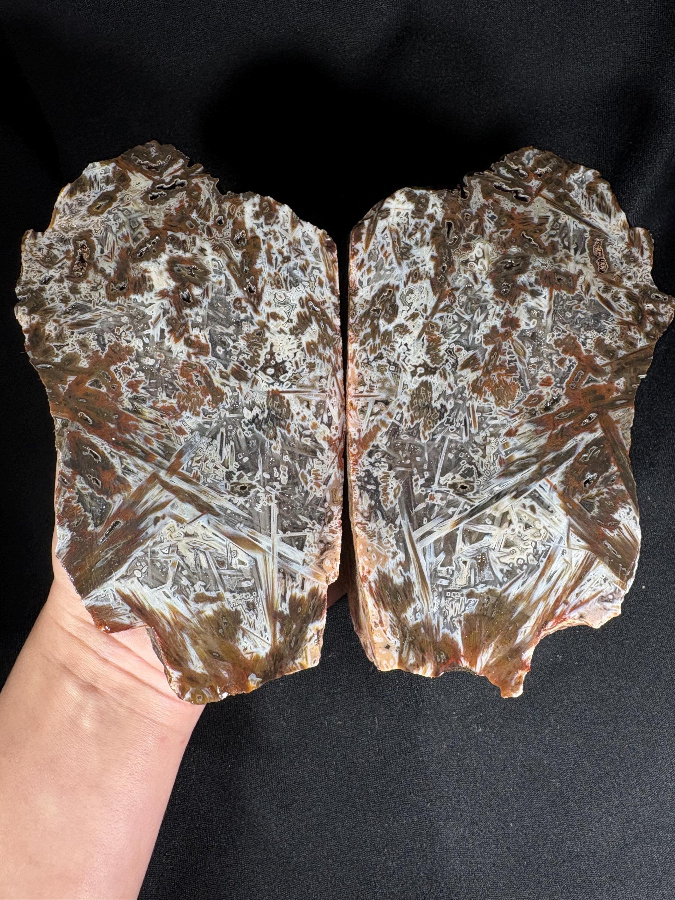 Stick Agate Geode Pair - Raw Needle Lattice