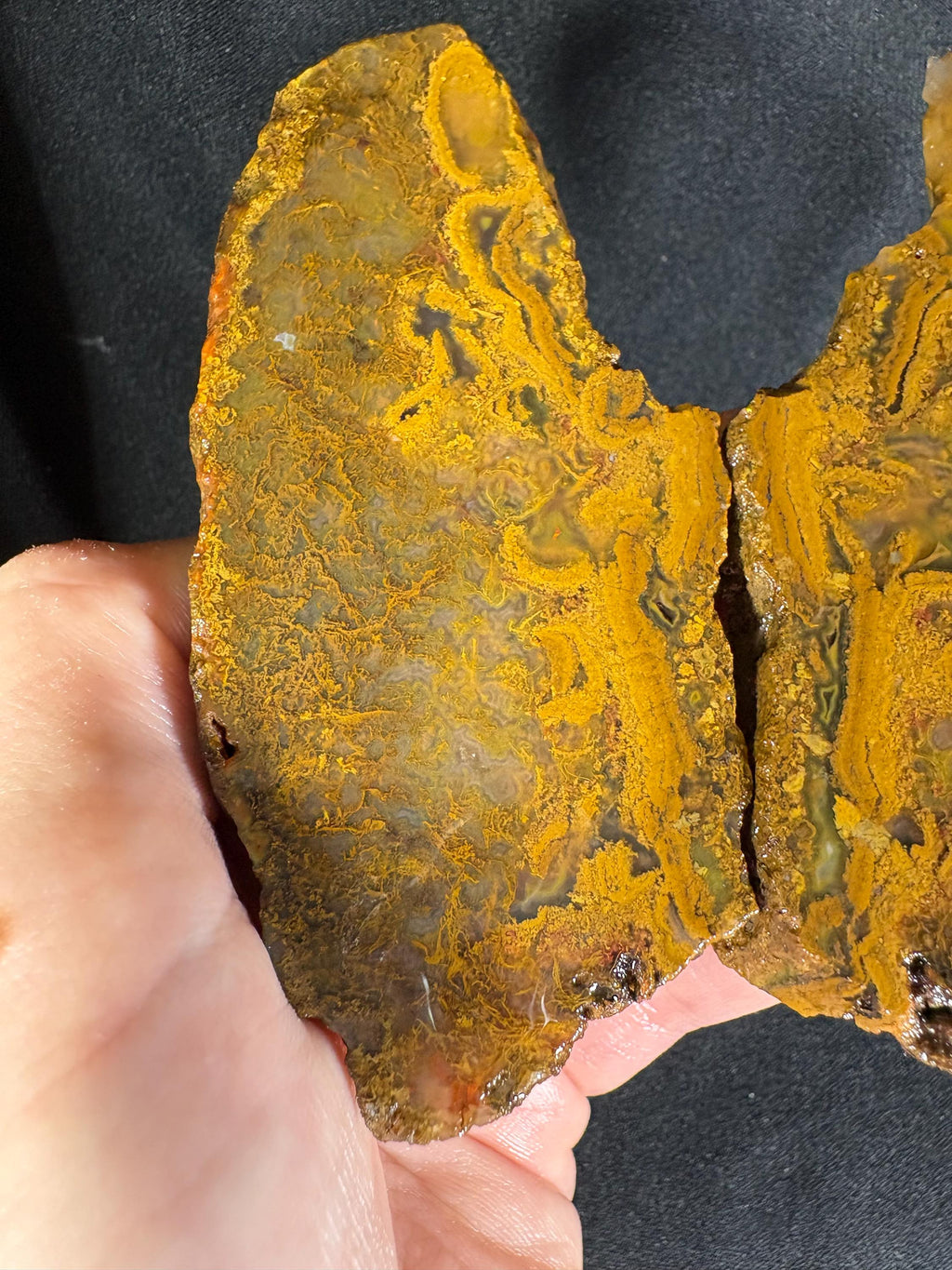 Black Sea Honey Moss Agate Pair – Golden Amber Plume