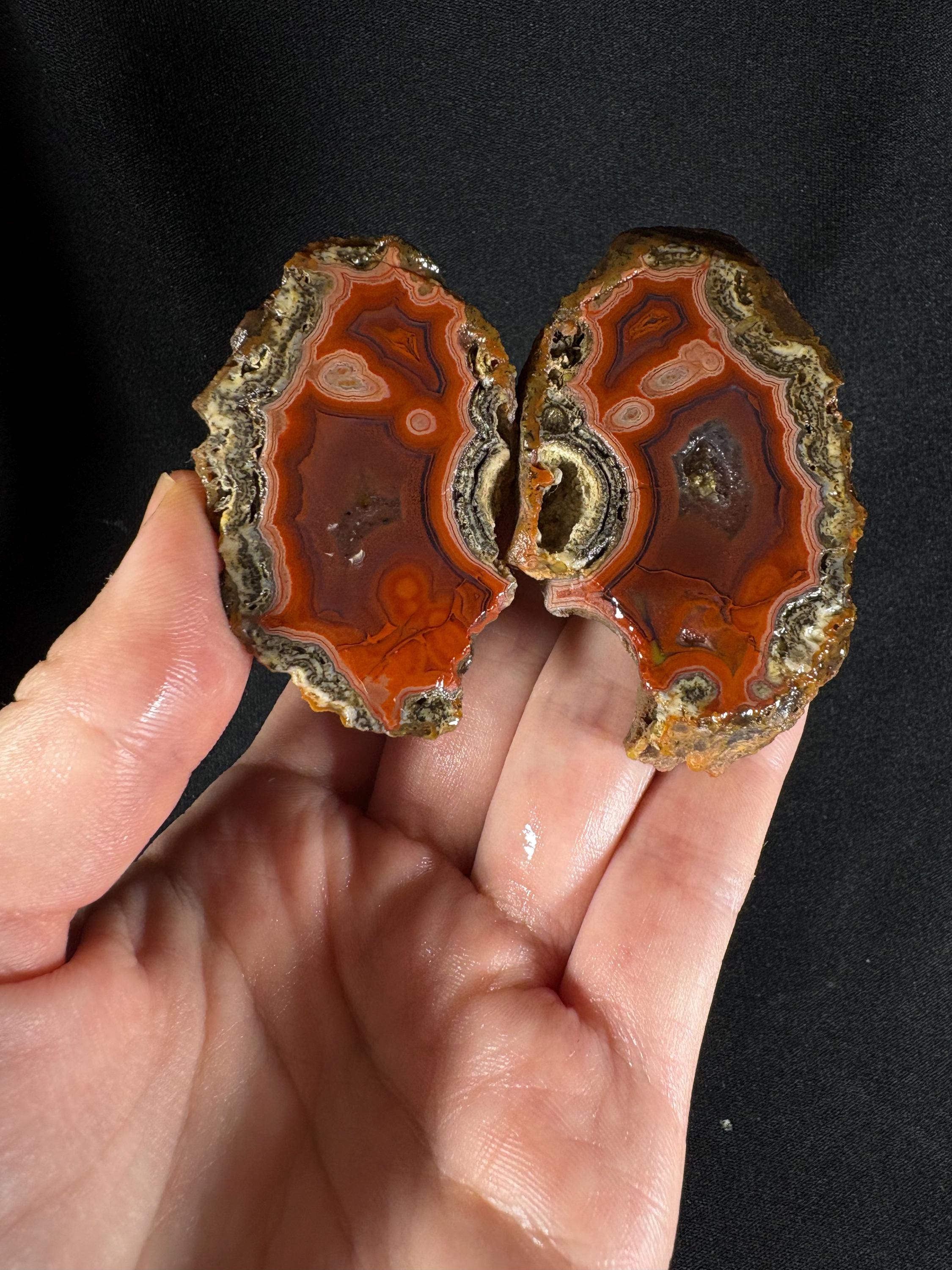 Rare Red Almus Agate Pair