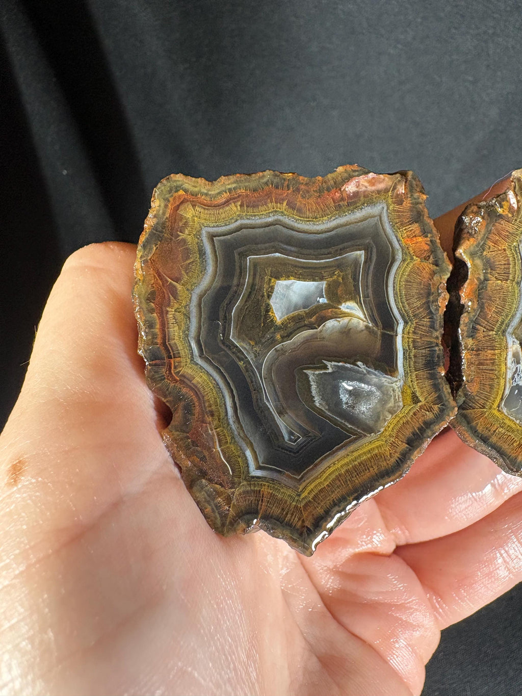 Golden Moss Rim Agate Pair