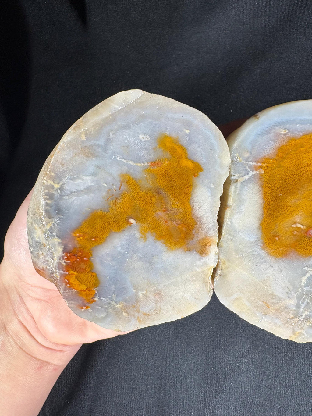 Fried Egg Agate Geode Pair - Sunny Side Up Yellow Plume Center - Raw Fun Collector Specimen