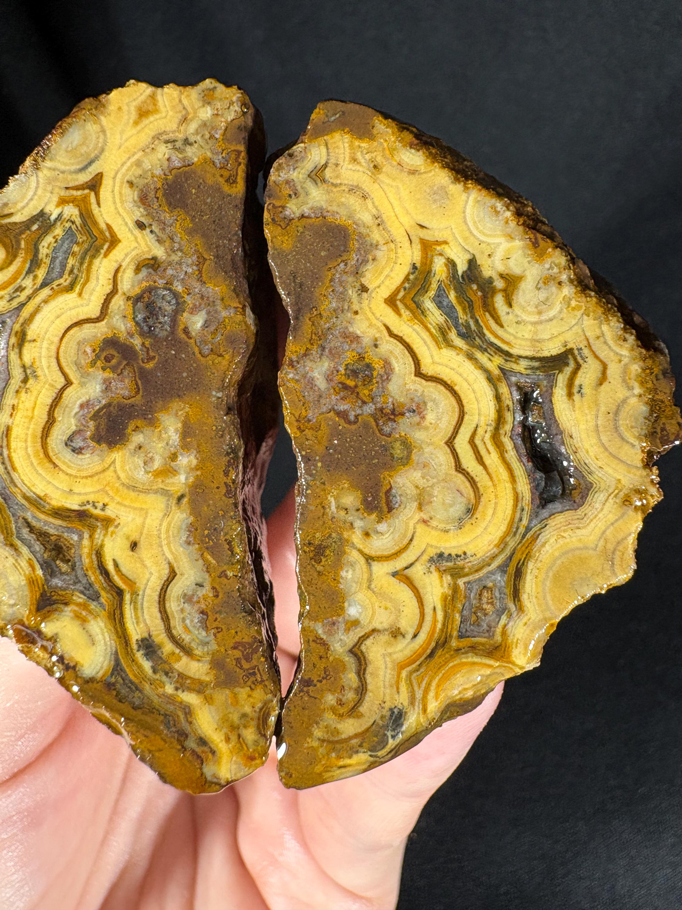 Golden "Baroque" Cloud Agate Pair