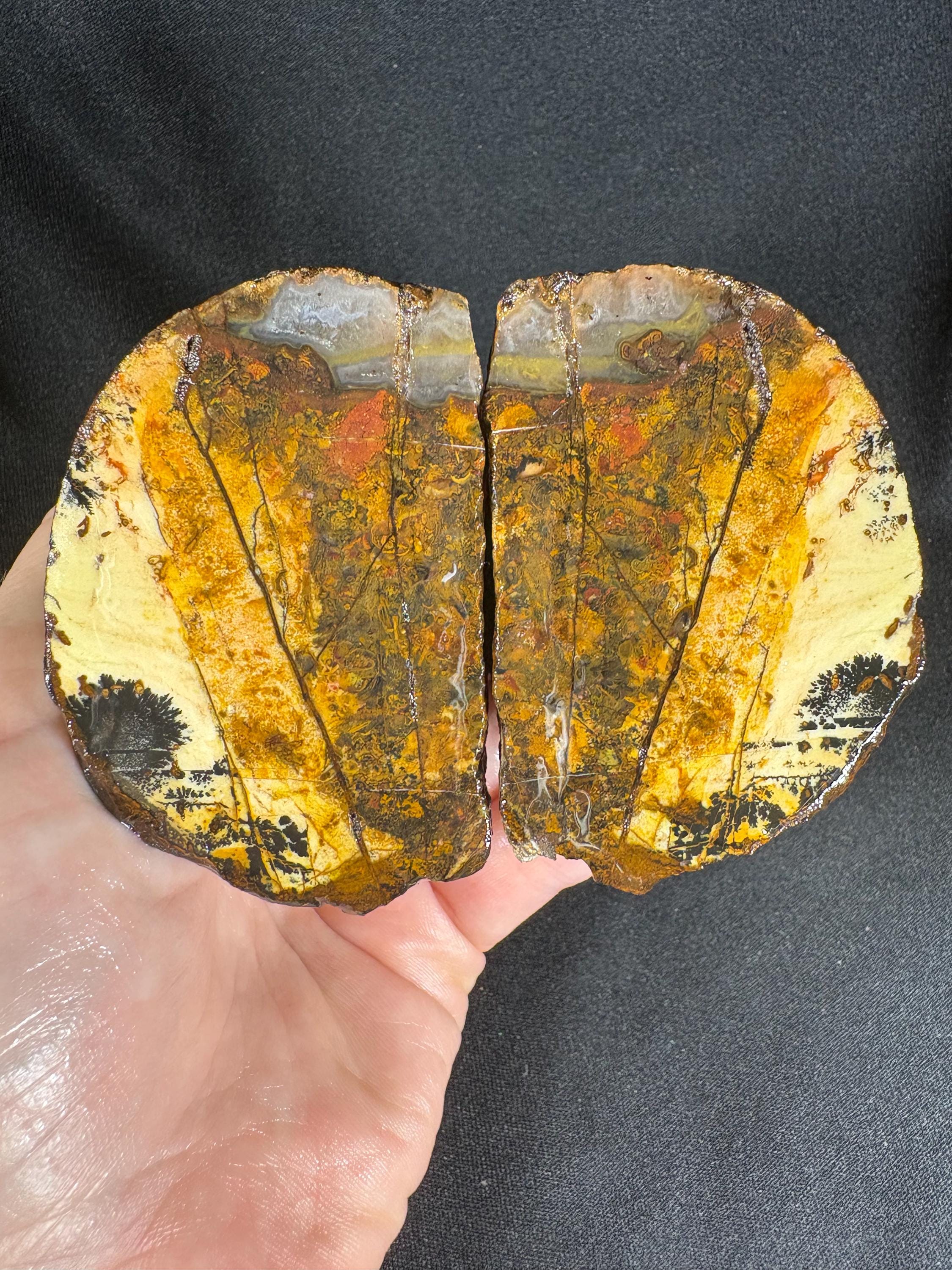 Golden Plume Agate Pair – Scenic "Autumn Forest" Dendritic Geode