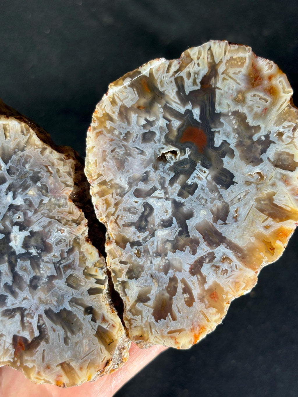 Raw Turkish Banded Agate Geodes - Blue Black and Dendritic Patterns
