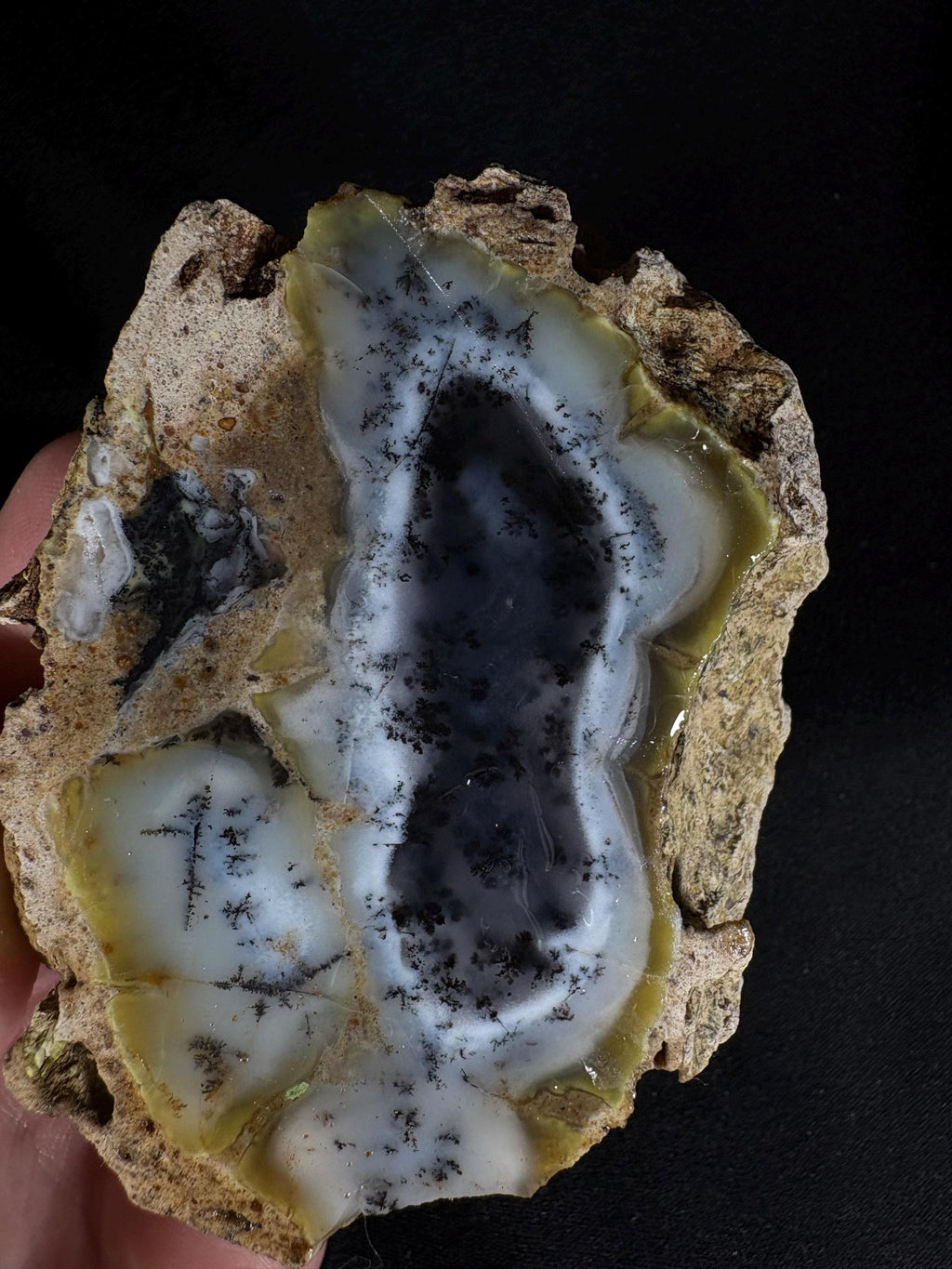 Rare Dendritic Agate Geode Pair