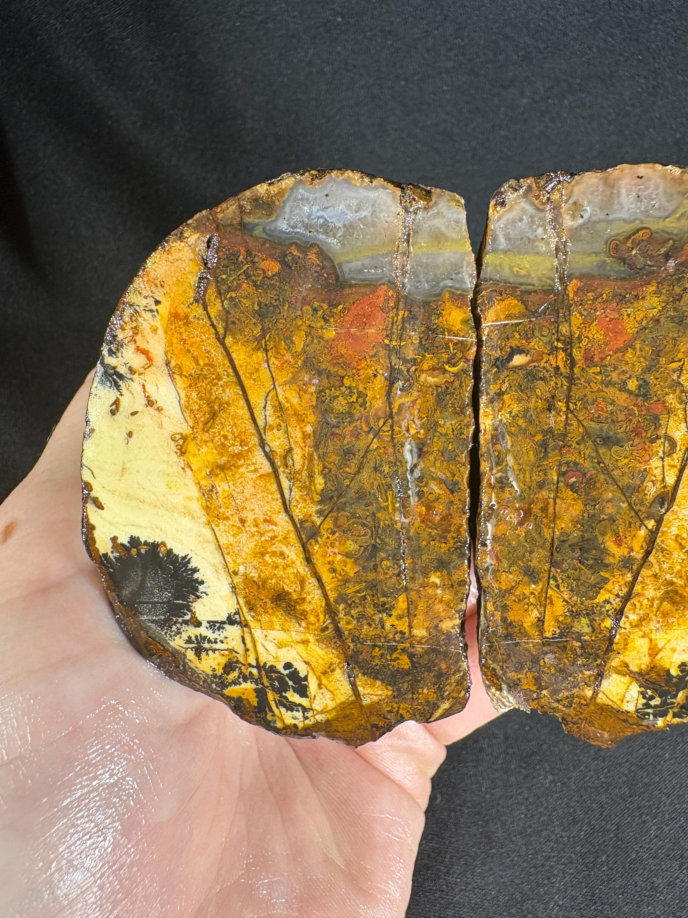 Golden Plume Agate Pair – Scenic "Autumn Forest" Dendritic Geode