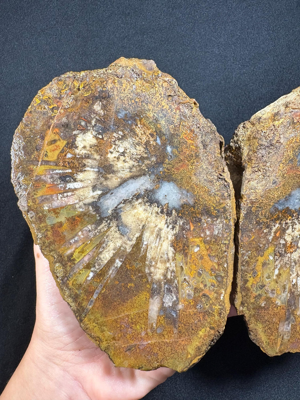 Natural Plume Agate Split Nodule Pair