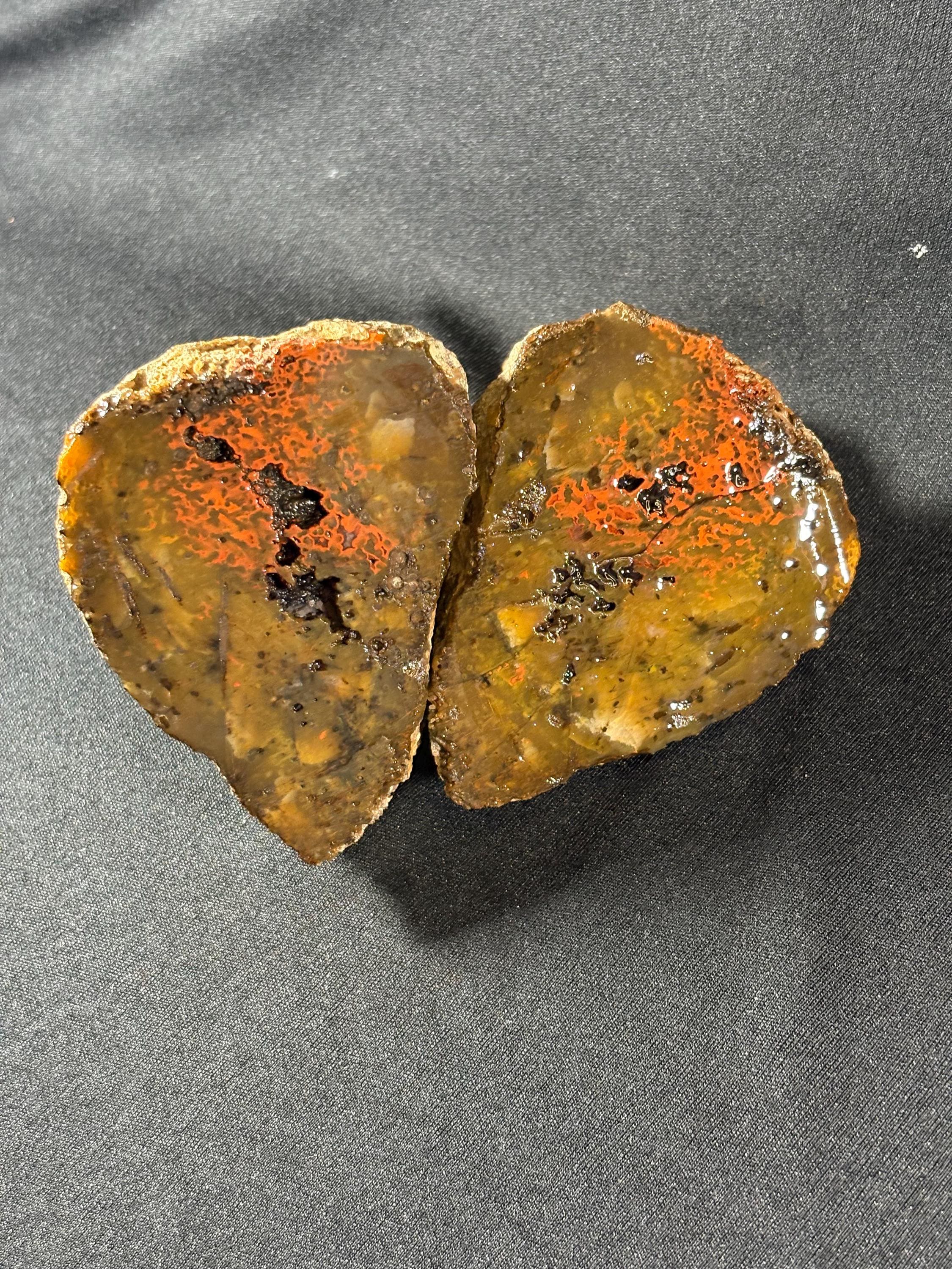 Raw Orbicular Agate Pair from Black Sea Region
