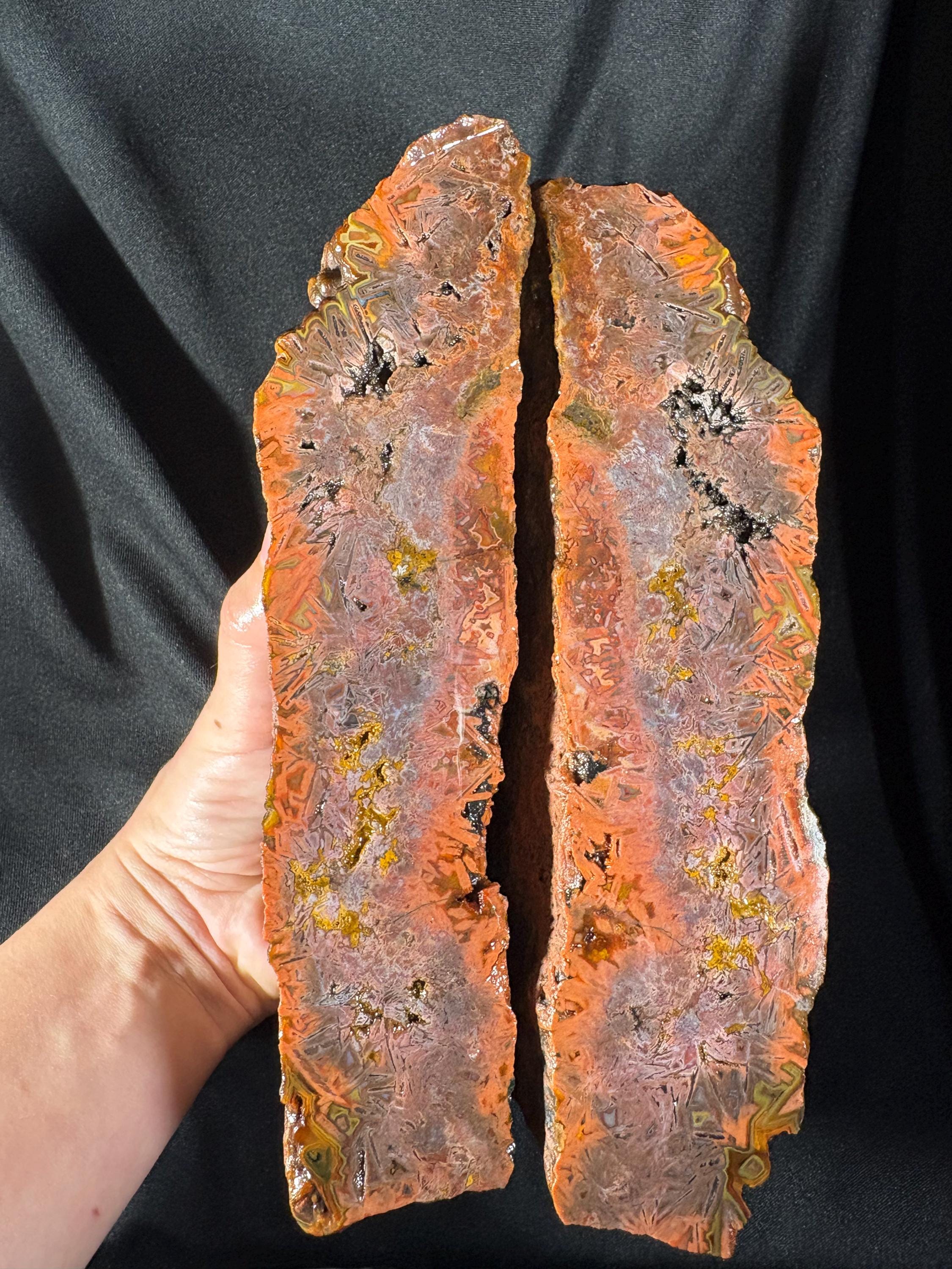 Red Sagenite Agate Pair | Rare Stick Agate Slices