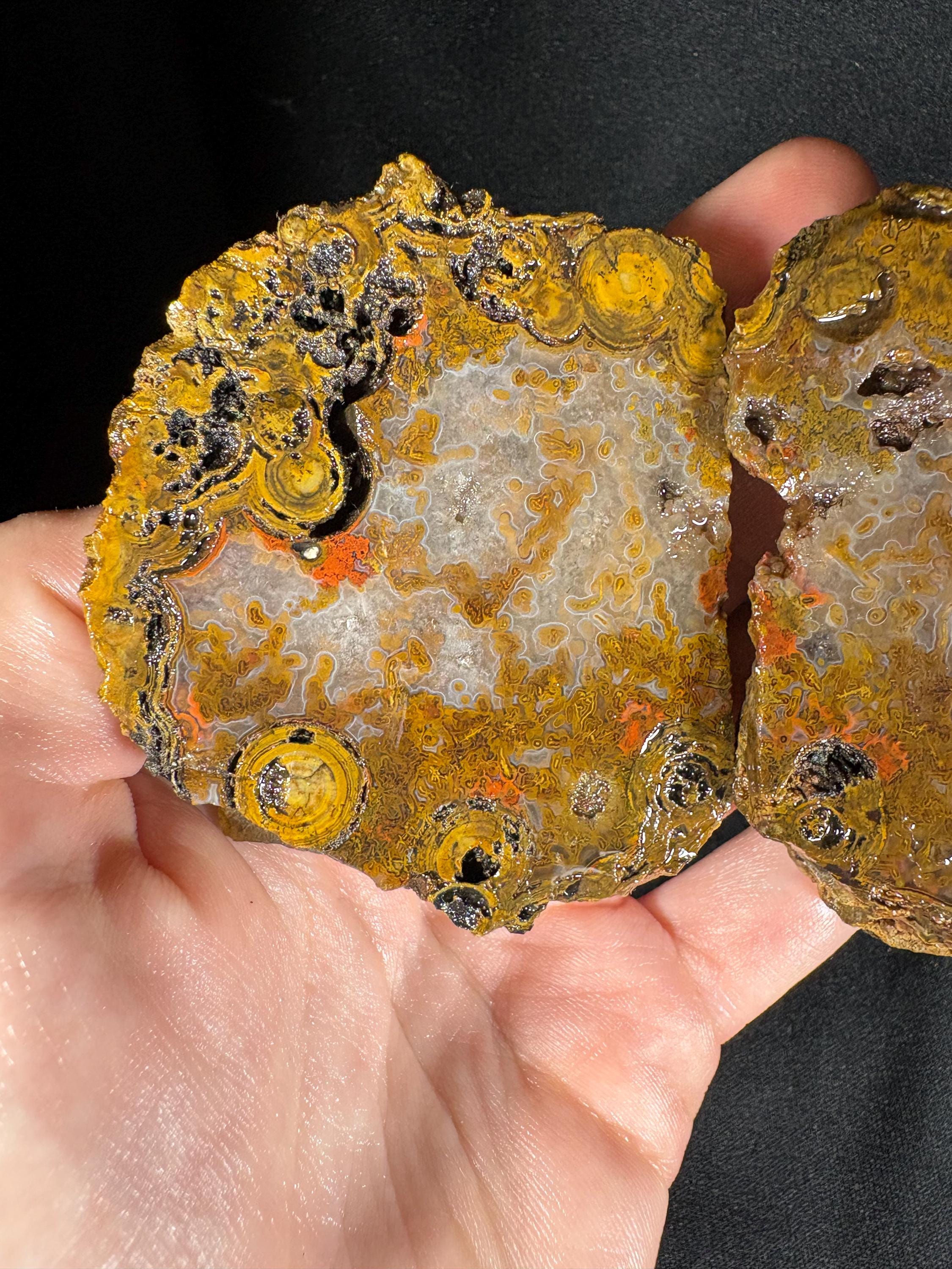 Yellow Crater Agate Pair