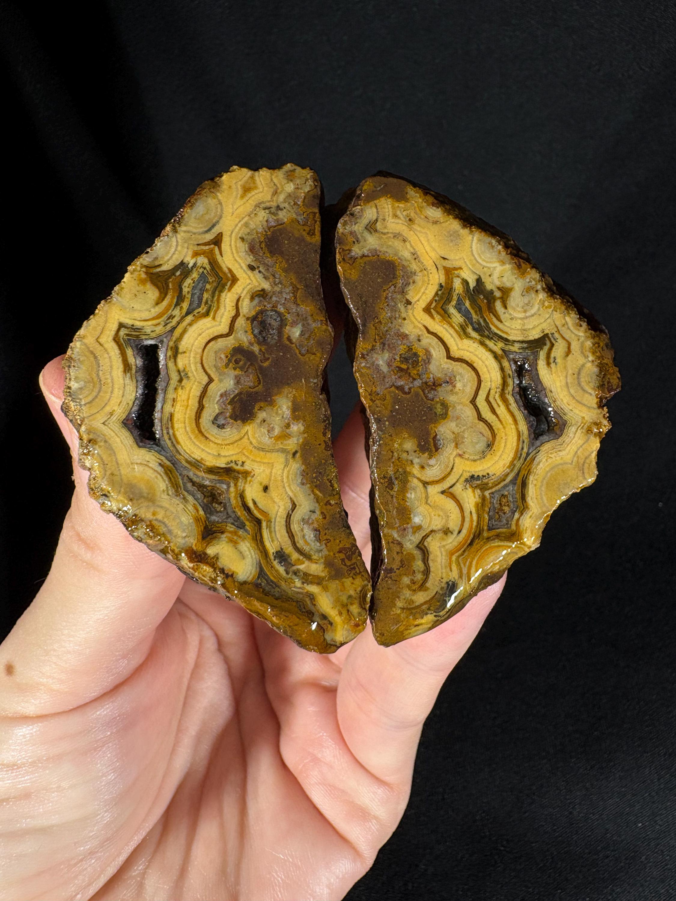 Golden "Baroque" Cloud Agate Pair