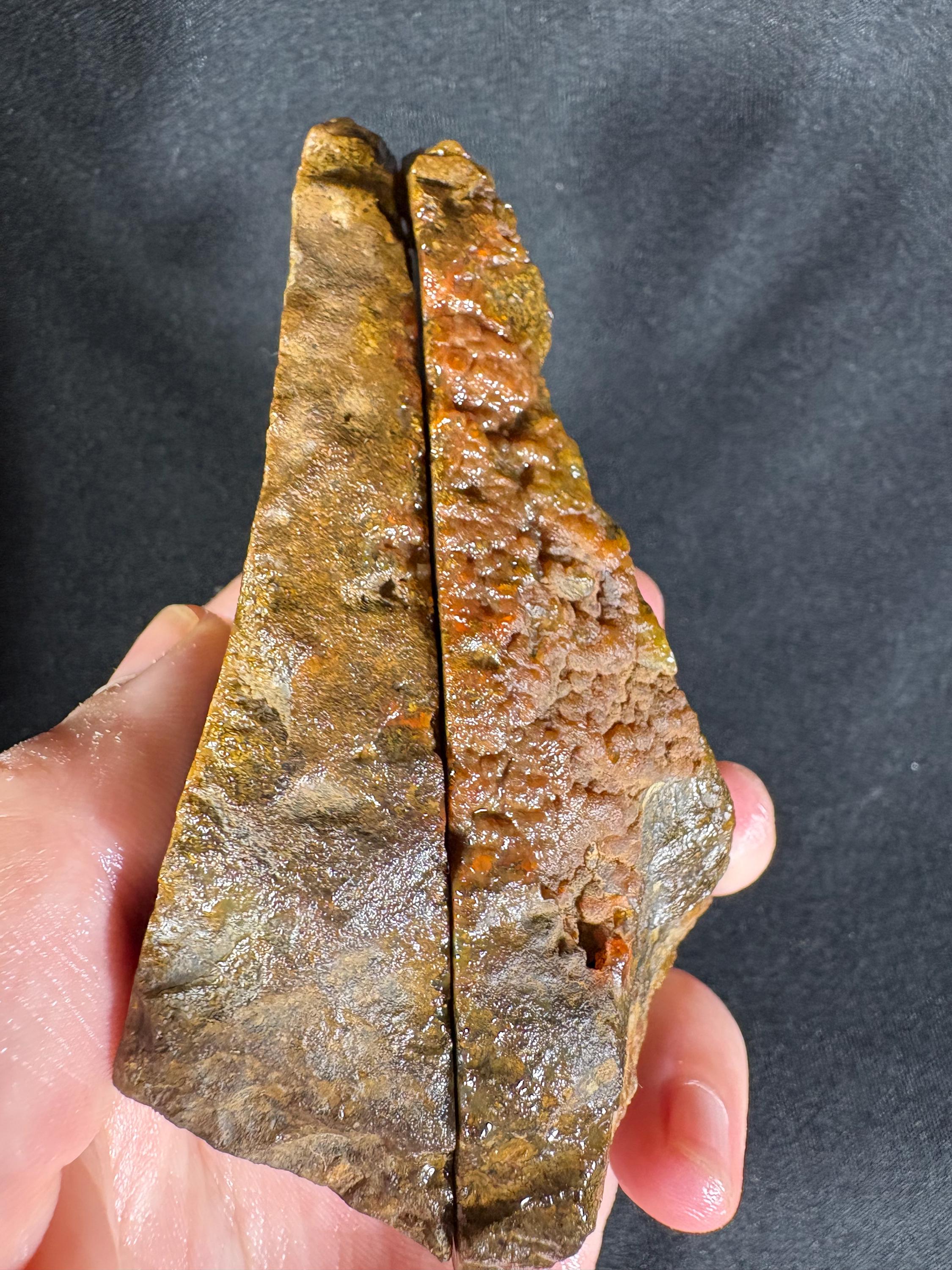 Black Sea Honey Moss Agate Pair – Golden Amber Plume
