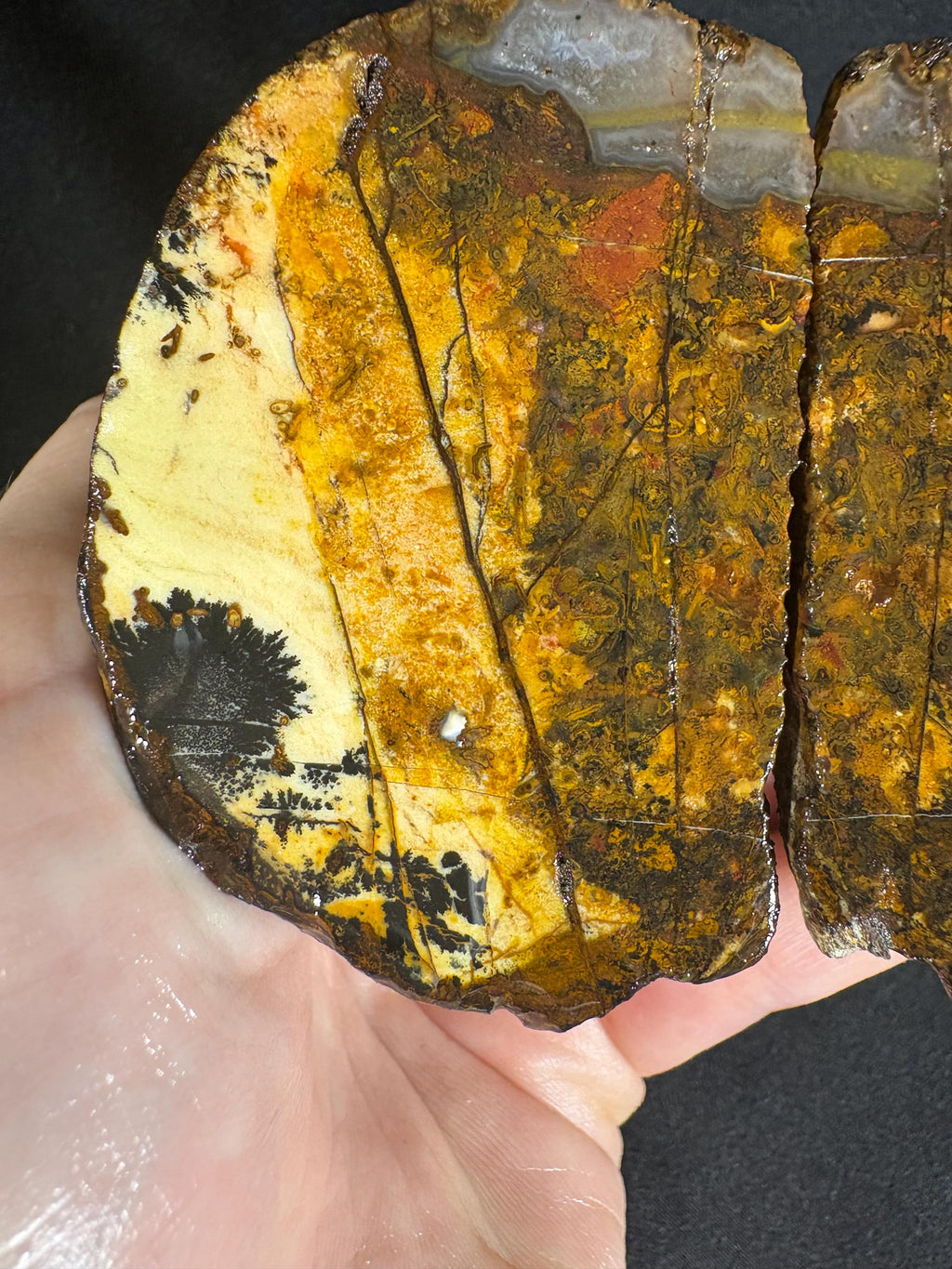 Golden Plume Agate Pair – Scenic "Autumn Forest" Dendritic Geode