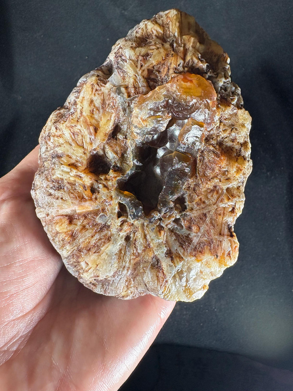 Raw Turkish Banded Agate Geodes - Blue Black and Dendritic Patterns