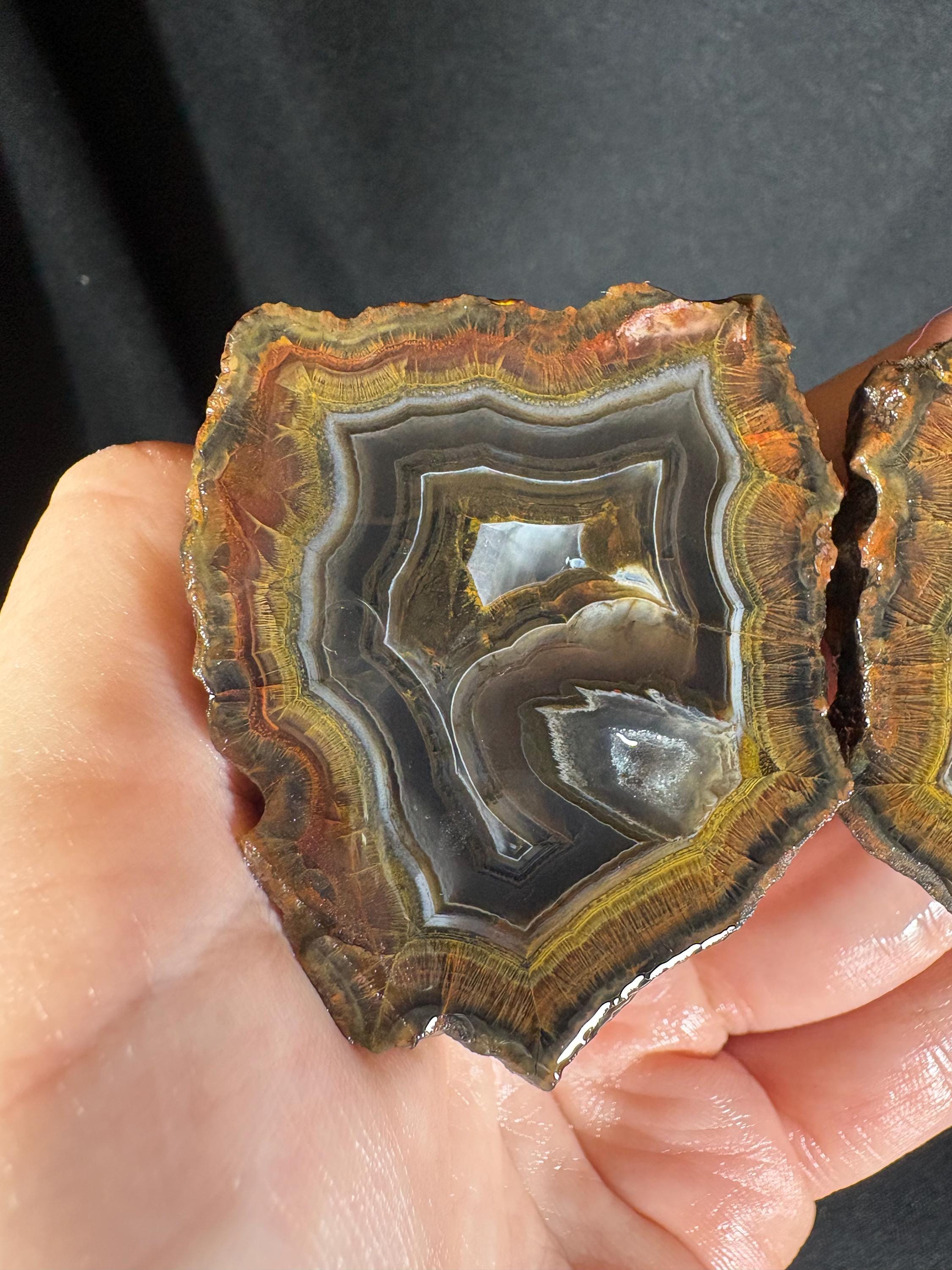 Golden Moss Rim Agate Pair