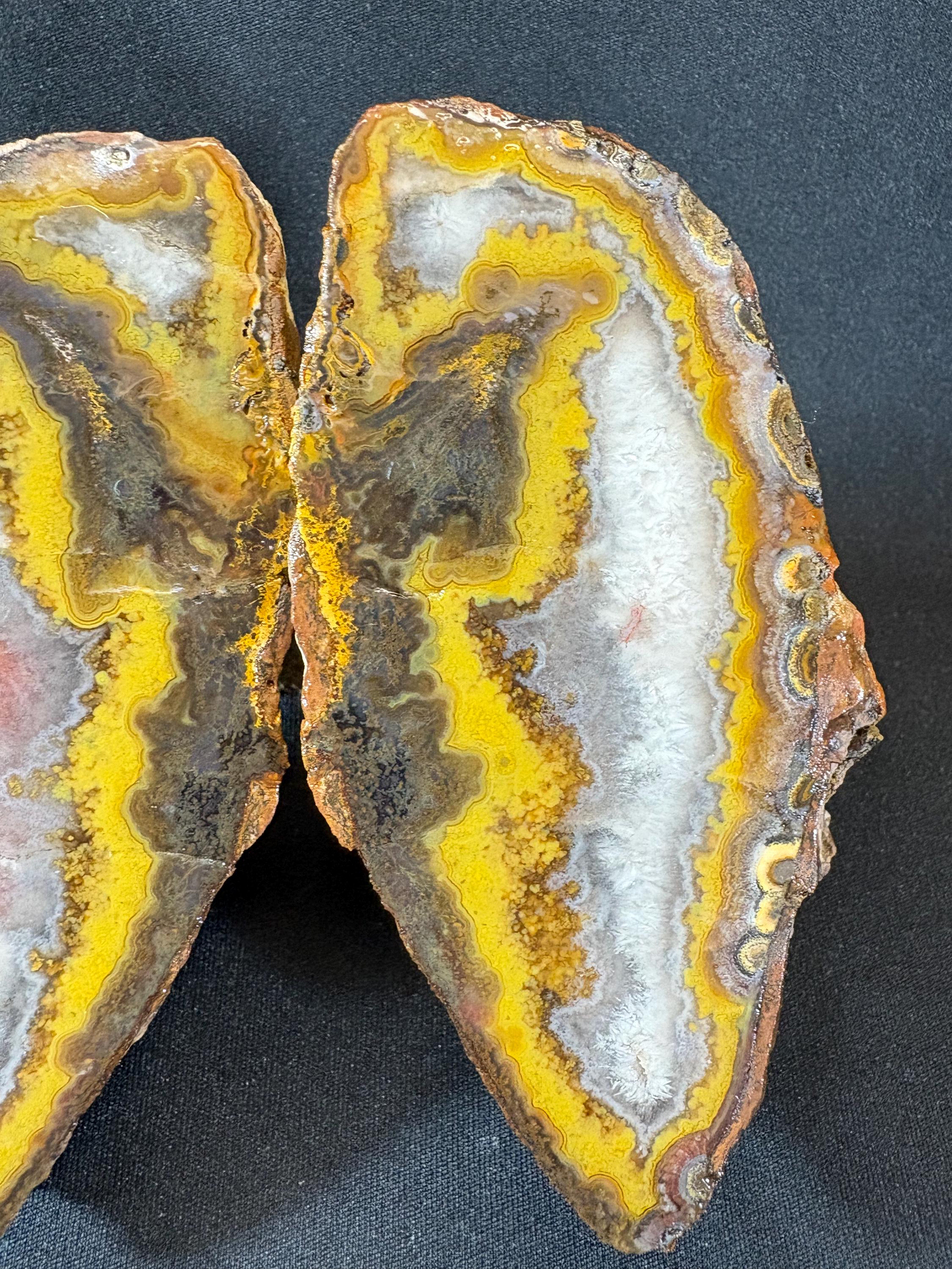 Natural Yellow Banded Agate Split Nodule Pair