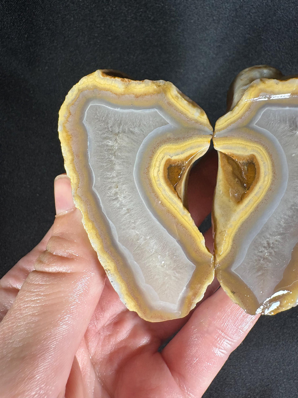 Banana Yellow Agate Geode Pair