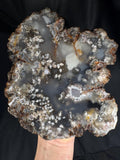 Black Flower Agate Geode Pair - Snowflake Plume