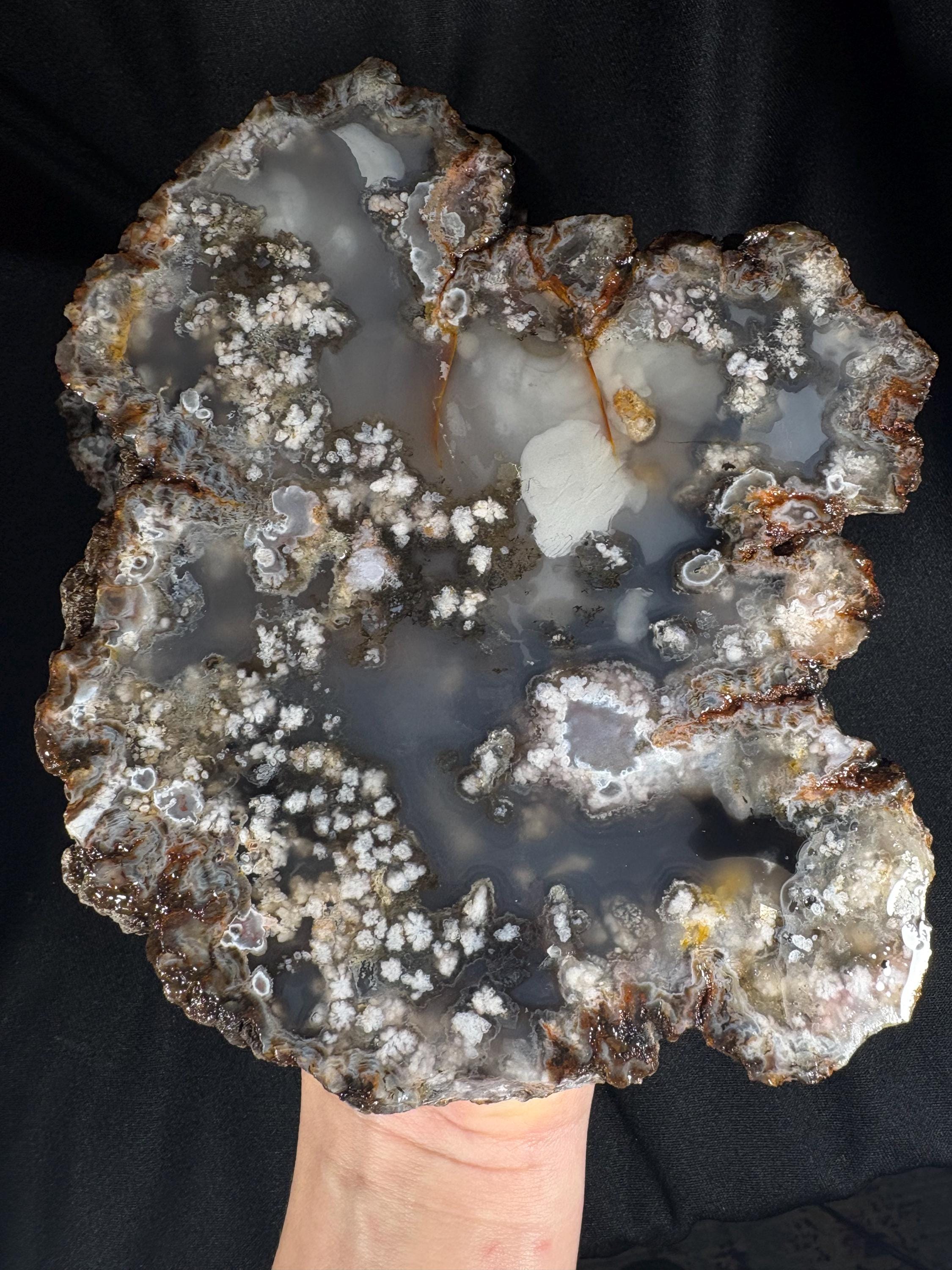 Black Flower Agate Geode Pair - Snowflake Plume