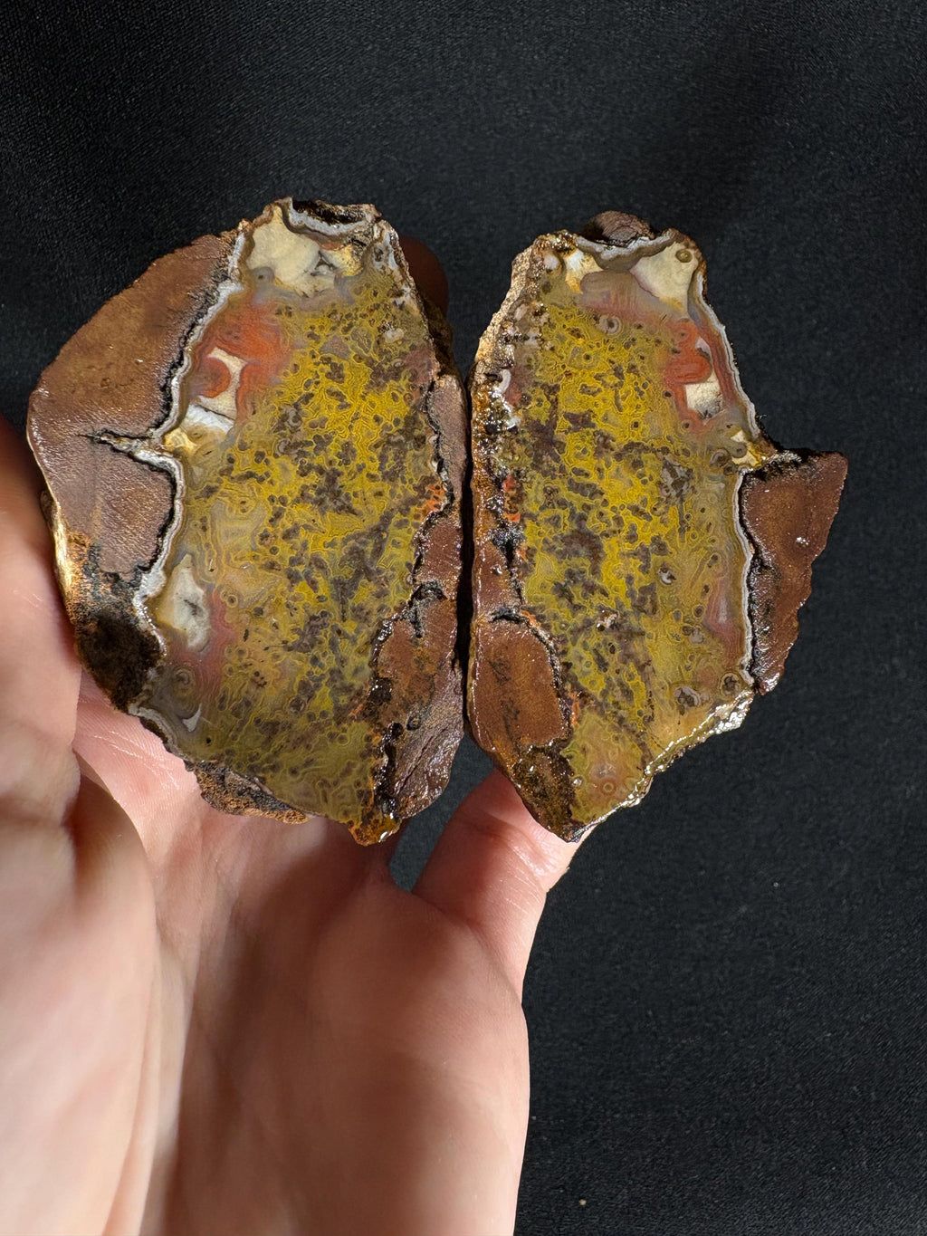 Rare Framed Plume Geode (Unpolished)