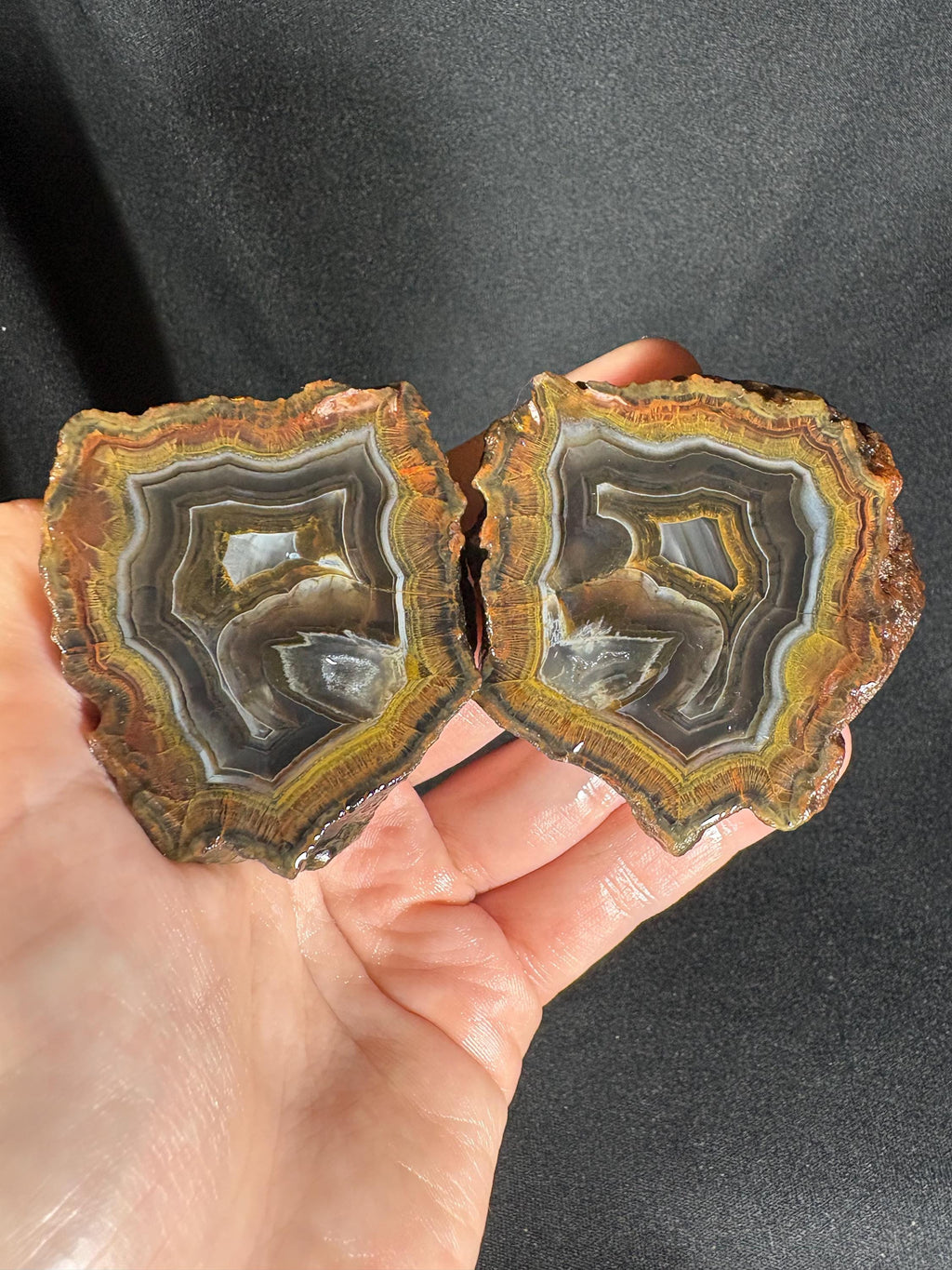 Golden Moss Rim Agate Pair