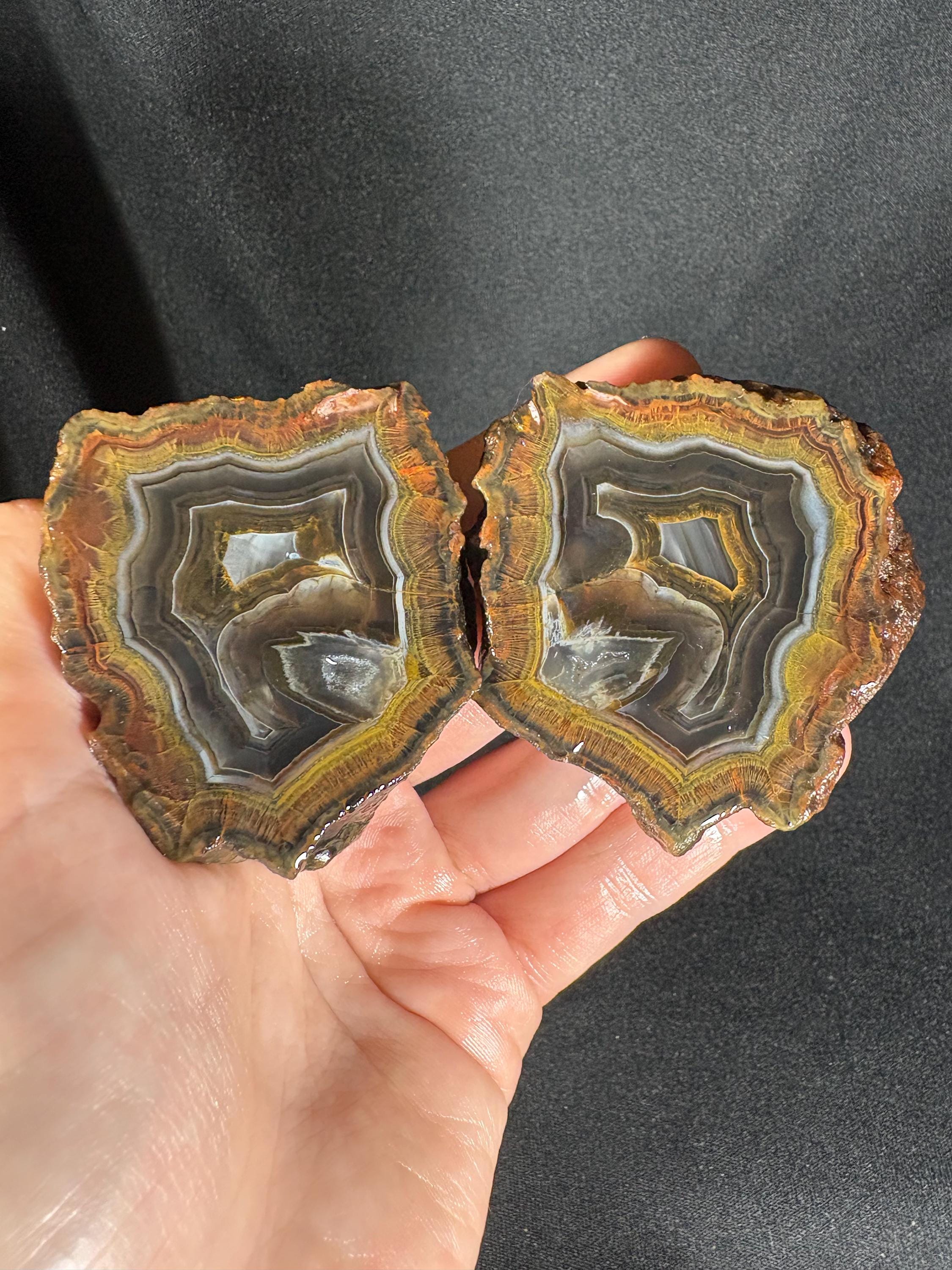 Golden Moss Rim Agate Pair
