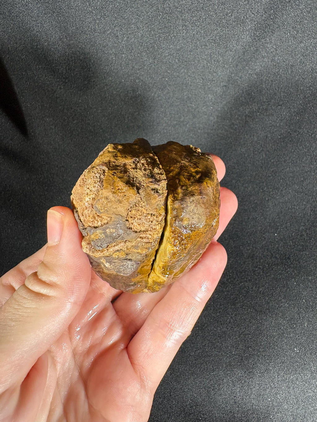 Golden "Baroque" Cloud Agate Pair
