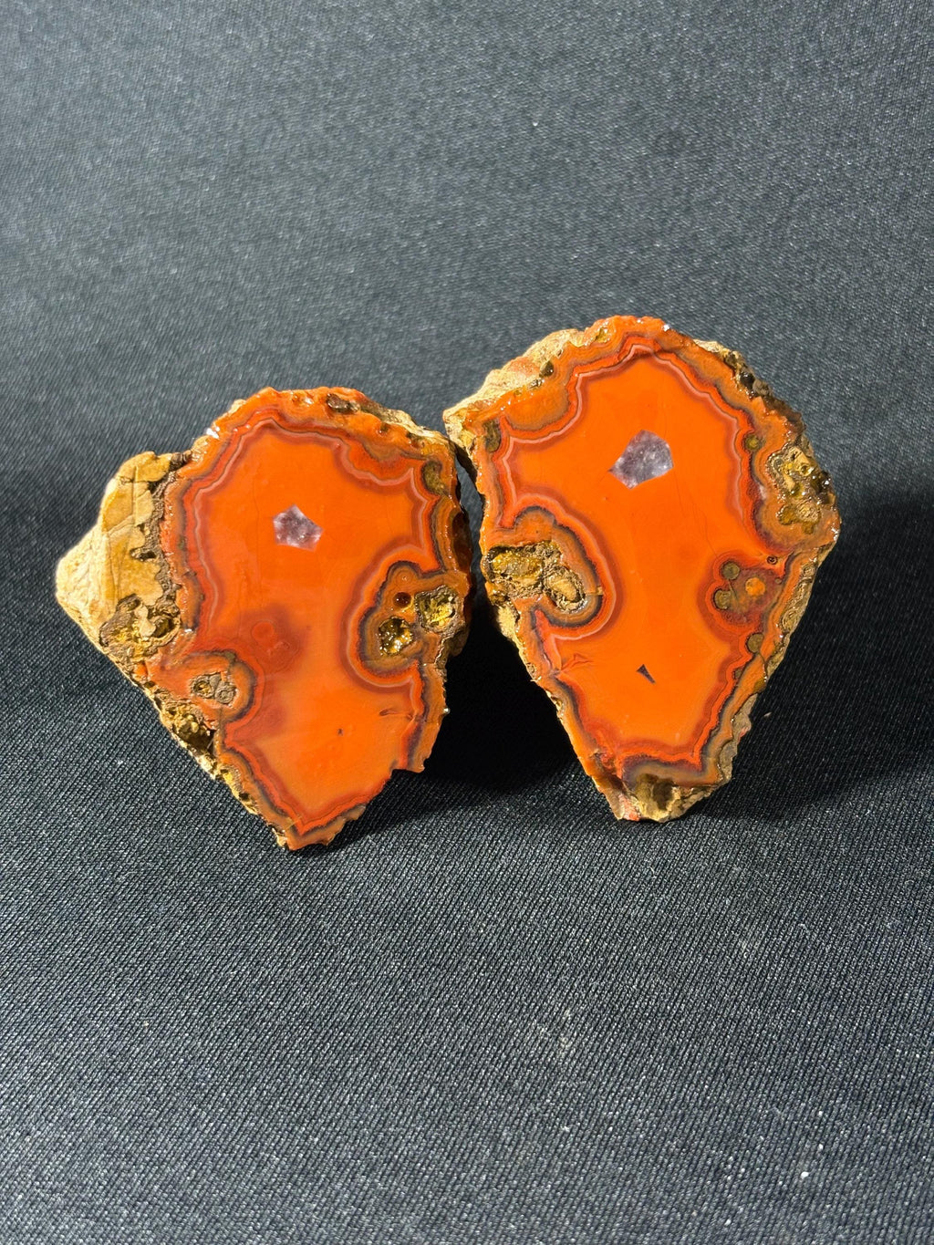 Electric Orange Orbicular Agate Pai