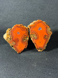 Electric Orange Orbicular Agate Pai