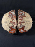 Natural Plume Agate Split Nodule Pair – Raw Untreated Agate